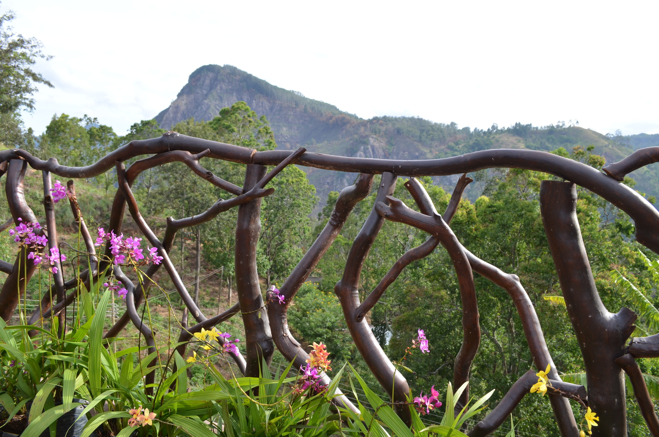 Шри-Ланка — Мальдивы. Mannequins, design, decoration, handmade, photographe…