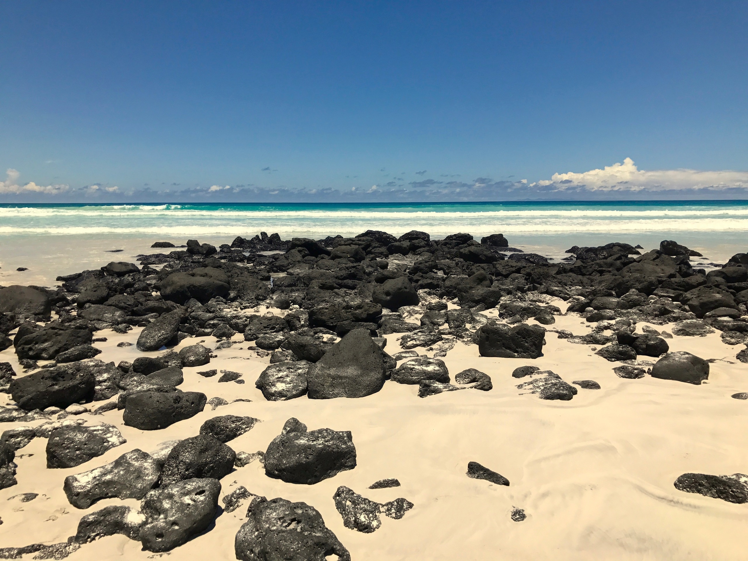Galapagos 2017, Отчёт о путешествии на Галапагосские острова. Милок и Кирок это позитивные и реальные персоны из Люксембурга, много
