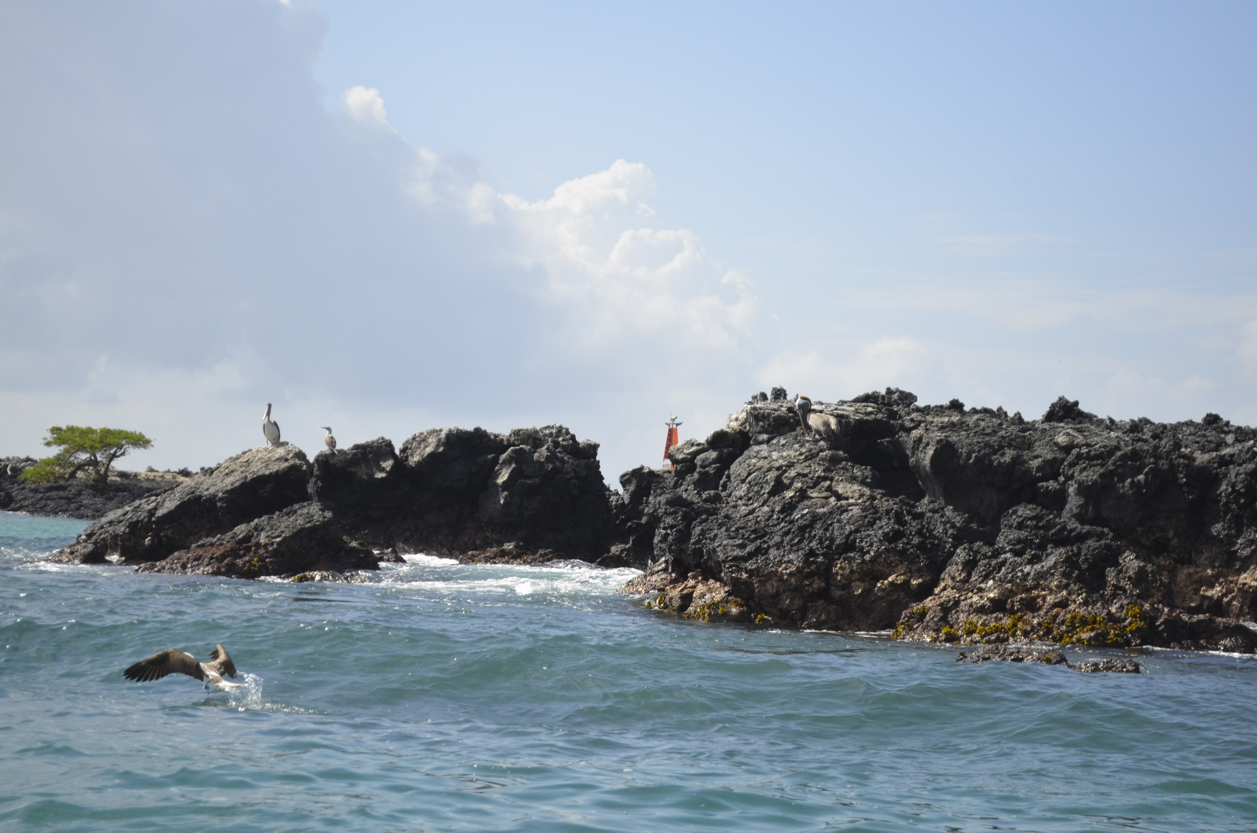 Galapagos 2017, Отчёт о путешествии на Галапагосские острова. Милок и Кирок это позитивные и реальные персоны из Люксембурга, много