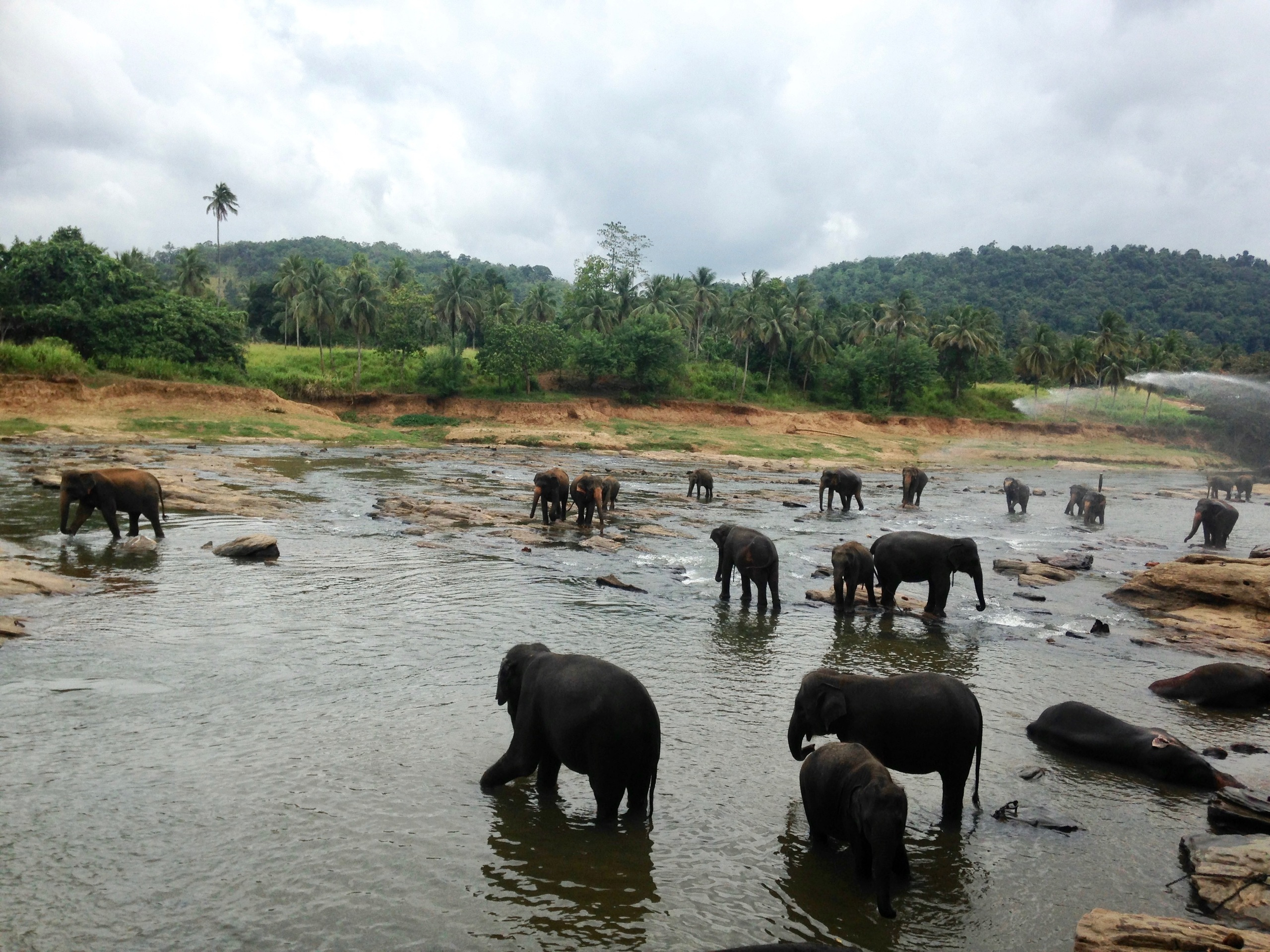 Шри-Ланка — Мальдивы. Mannequins, design, decoration, handmade, photographe…