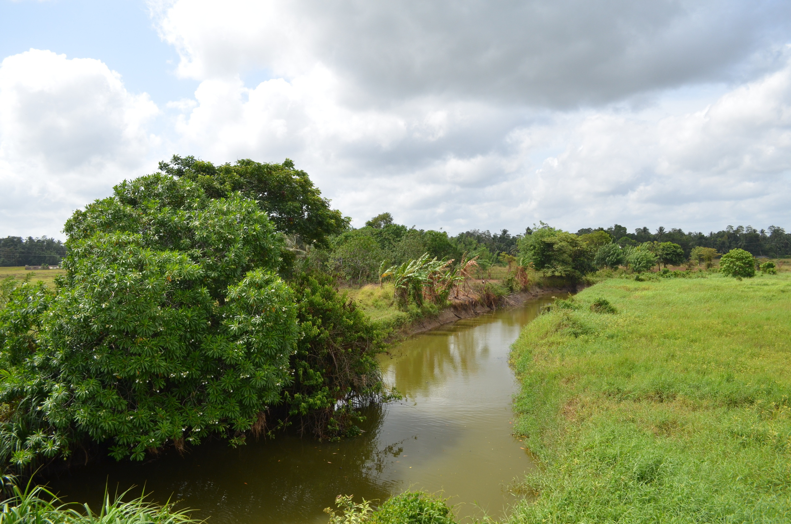 Шри-Ланка — Мальдивы. Mannequins, design, decoration, handmade, photographe…