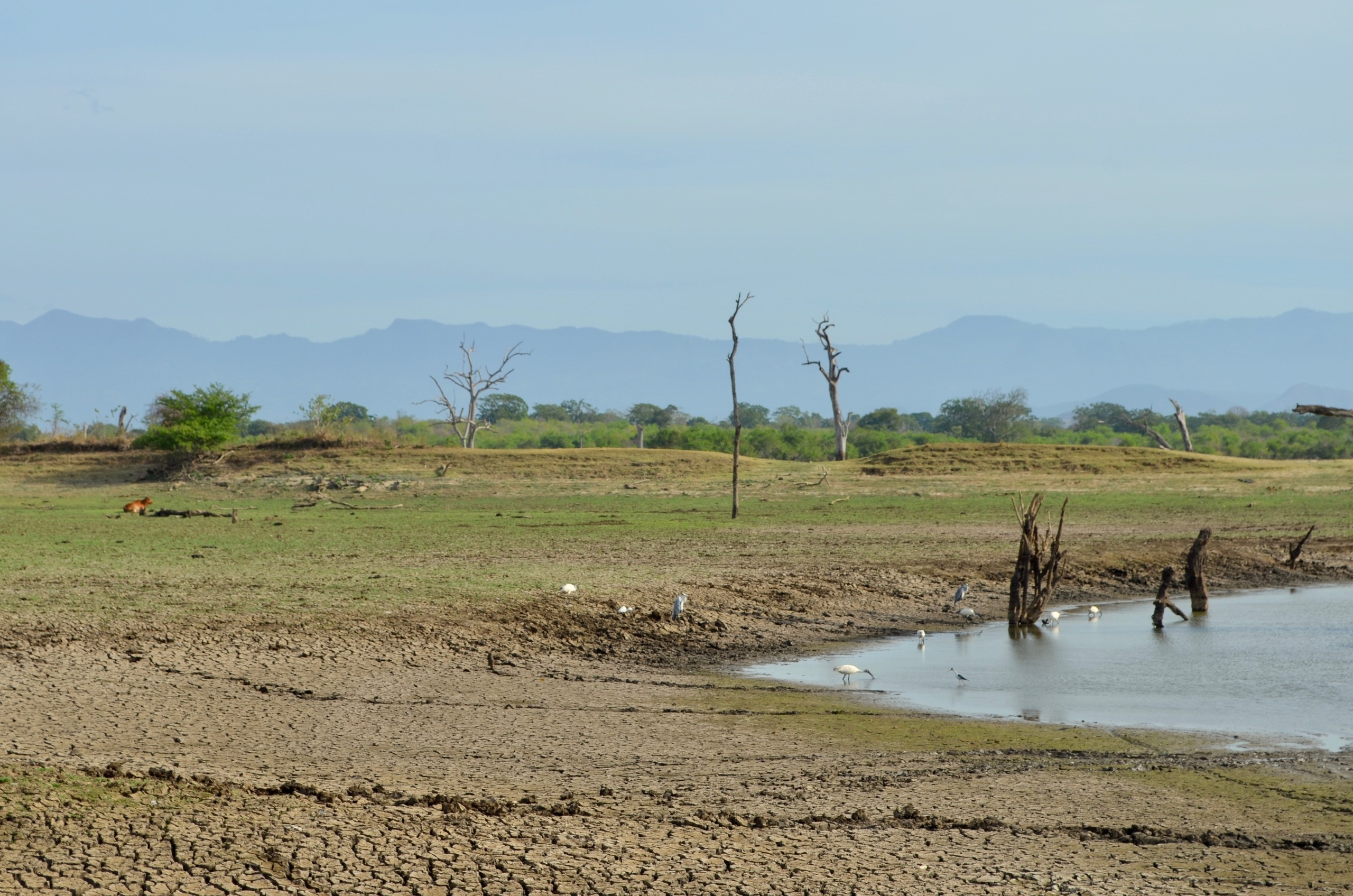 Шри-Ланка — Мальдивы. Mannequins, design, decoration, handmade, photographe…