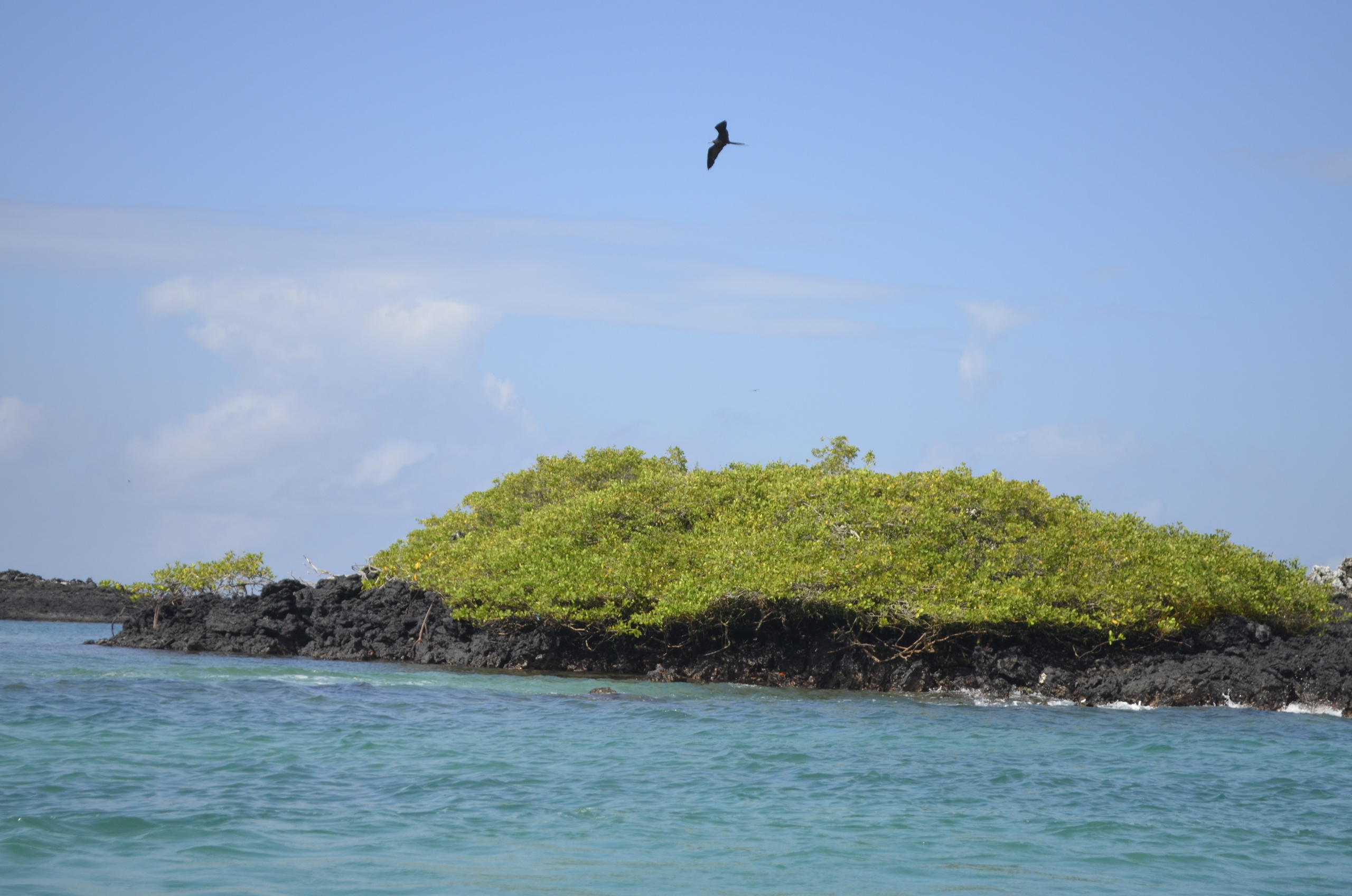 Galapagos 2017, Отчёт о путешествии на Галапагосские острова. Милок и Кирок это позитивные и реальные персоны из Люксембурга, много