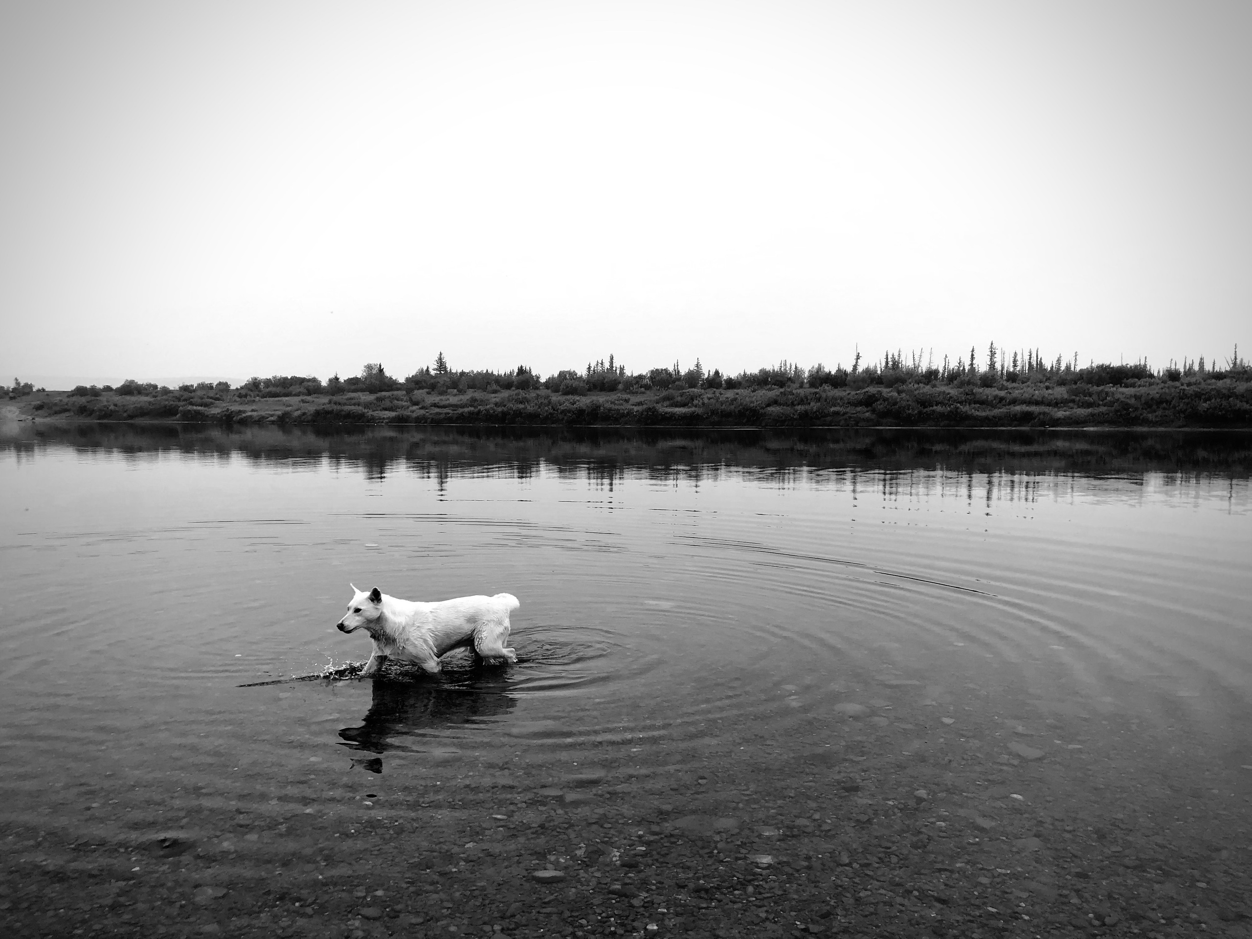 Aita (filming). Filmmaker