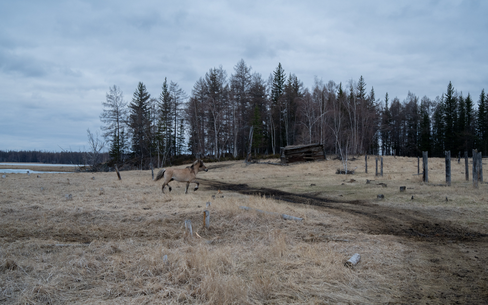 Hunting in Yakutia as an initiation. Filmmaker