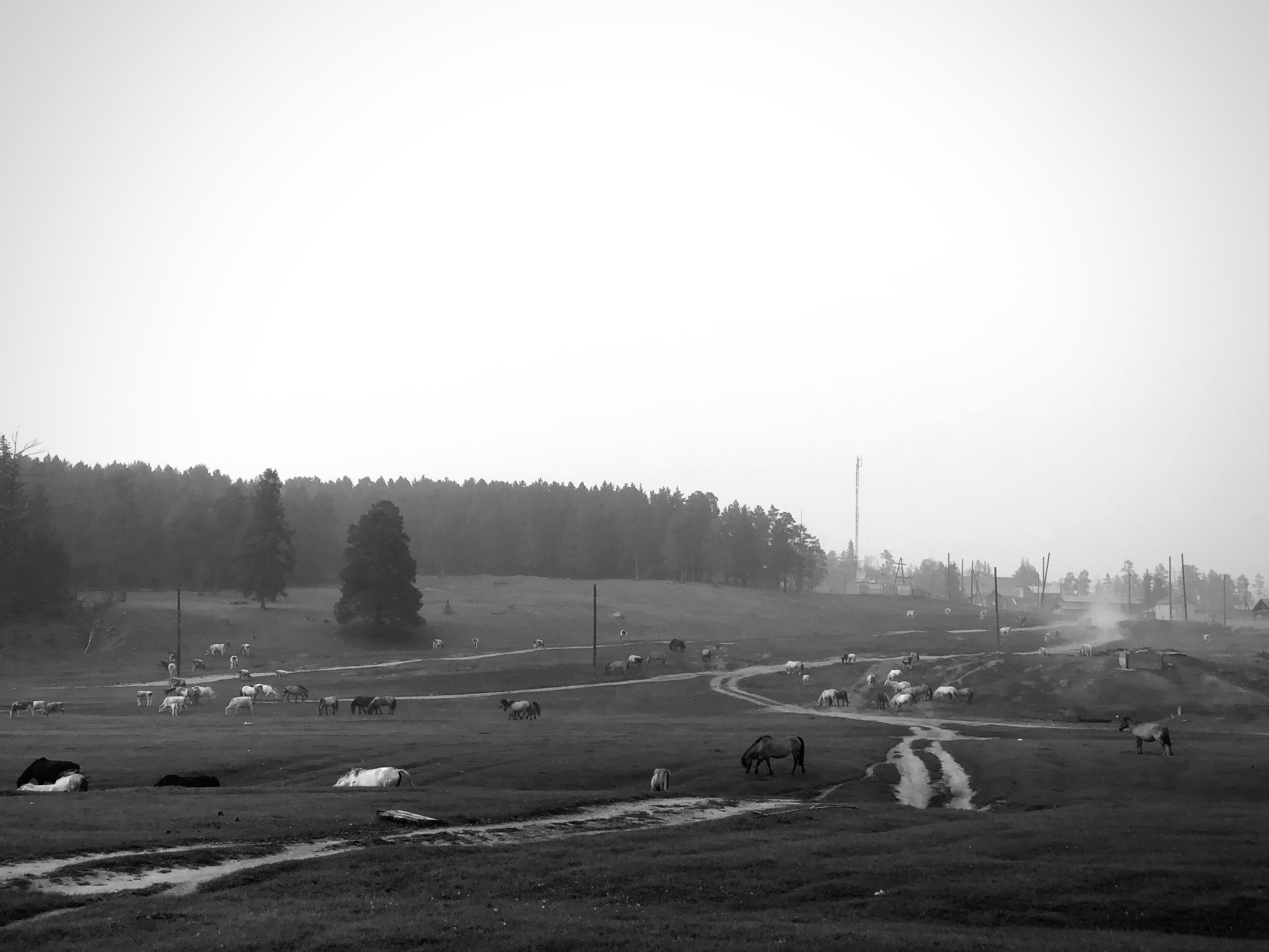 Aita (filming). Filmmaker