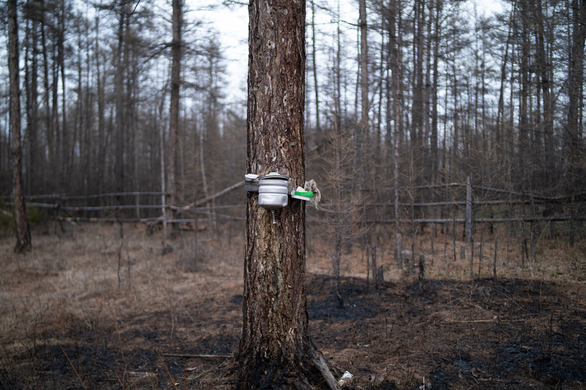 Hunting in Yakutia as an initiation. Filmmaker