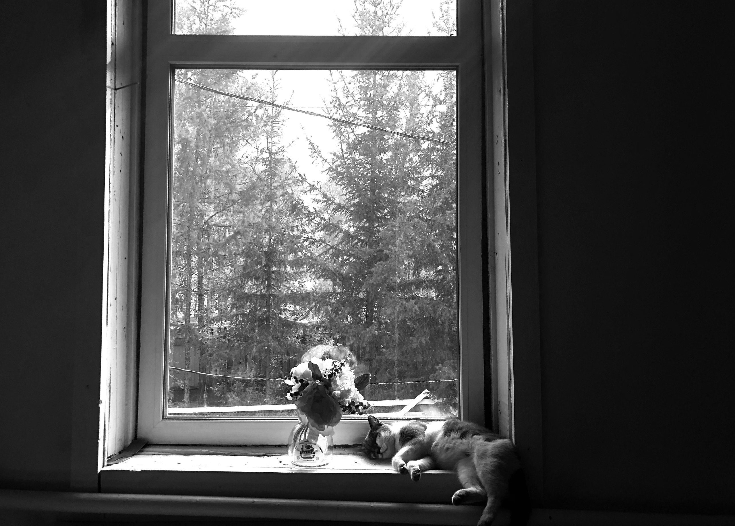 Aita (filming). Filmmaker