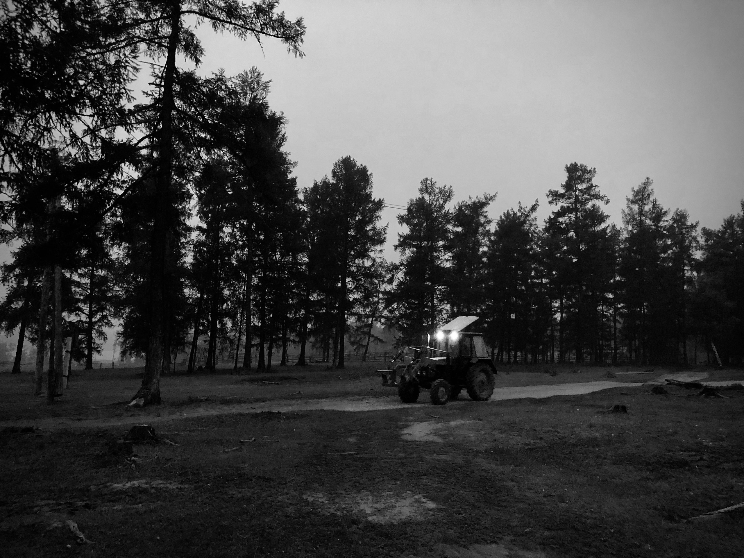 Aita (filming). Filmmaker