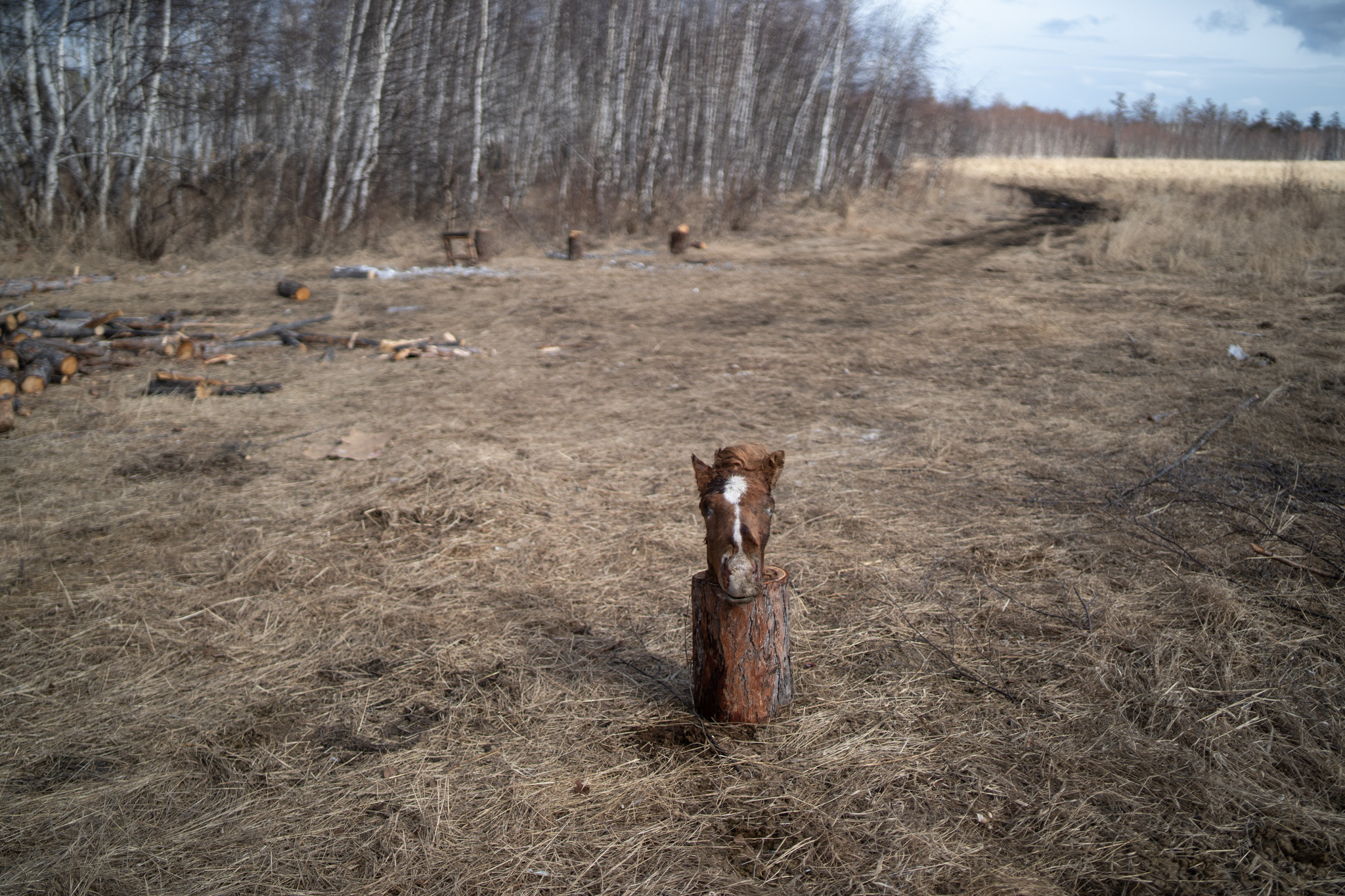 Hunting in Yakutia as an initiation. Filmmaker