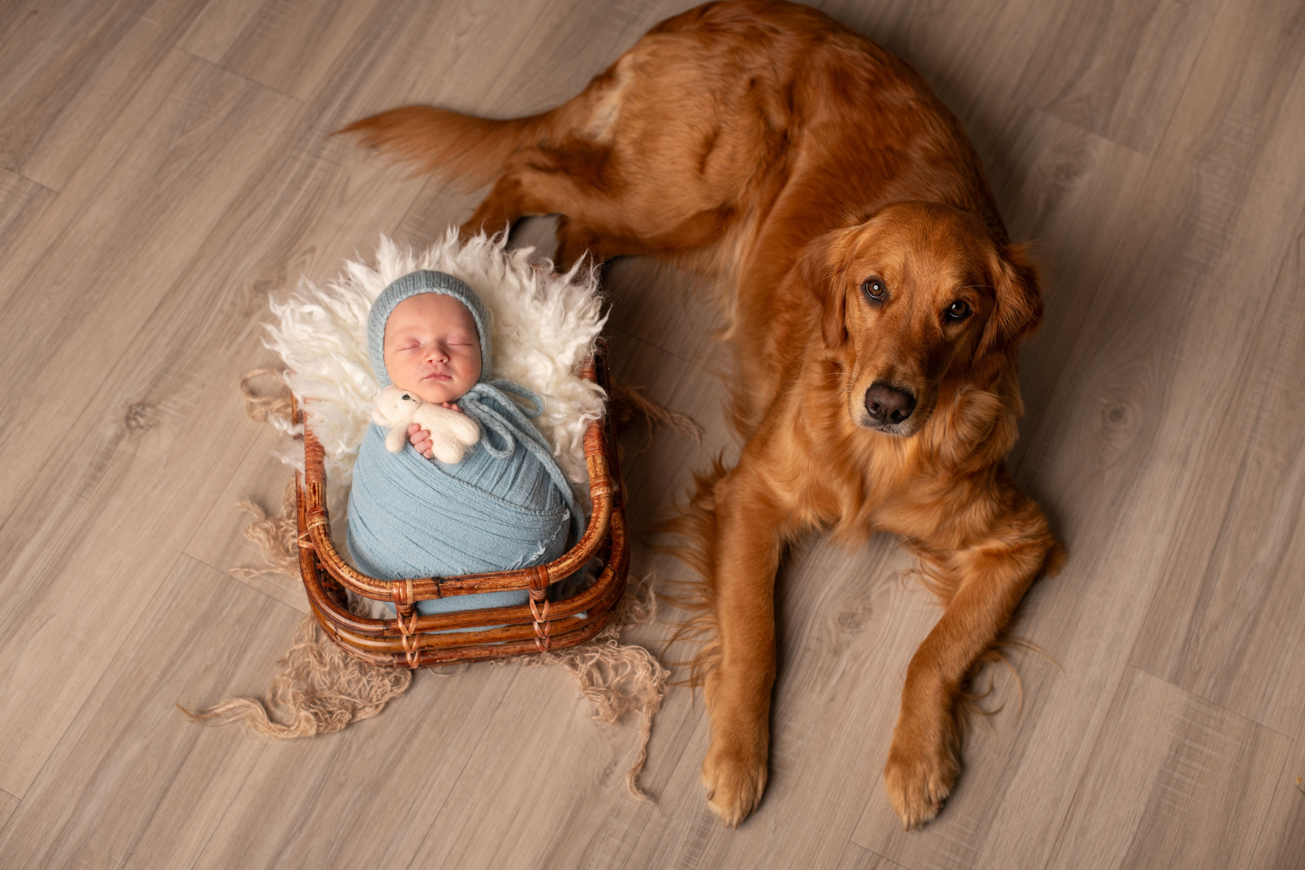 Little bit from yesterday photoshoot. Newborn photographer Sacramento
