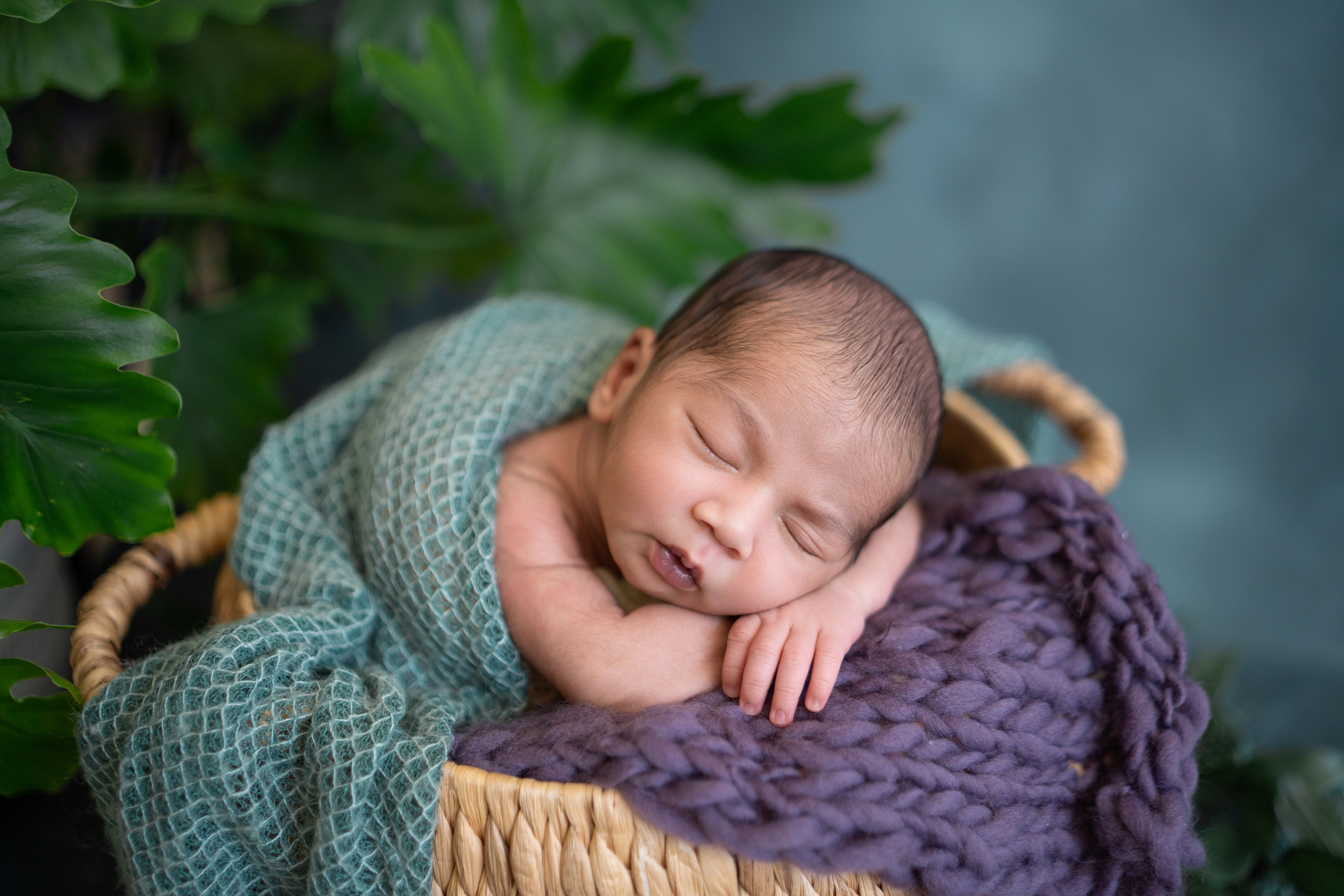 Posed Newborn. Maternity, family and newborn photography in San Francisco Bay Area