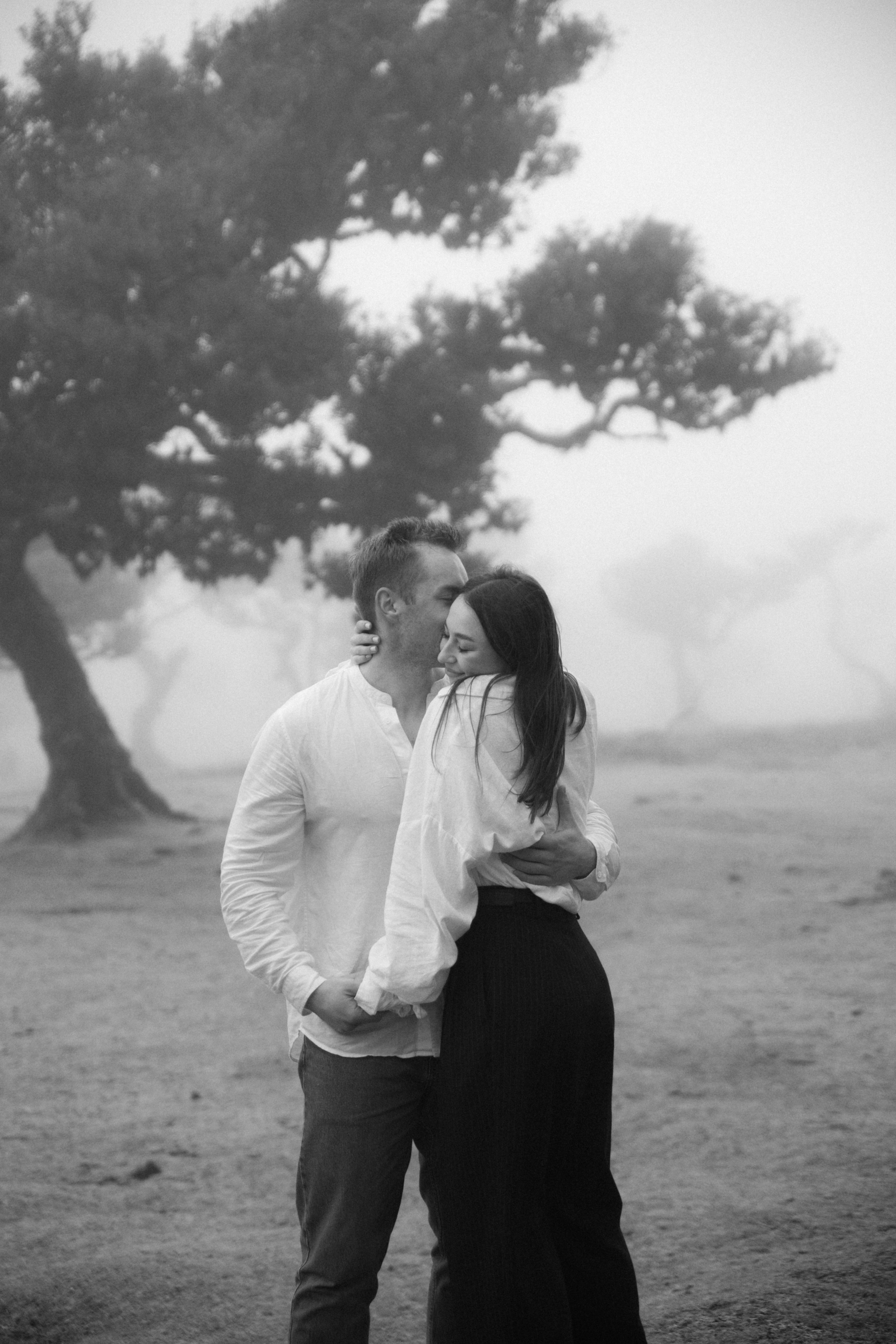 Magic of Fanal Forest. Wedding photographer and videographer based in Timisoara, Romania