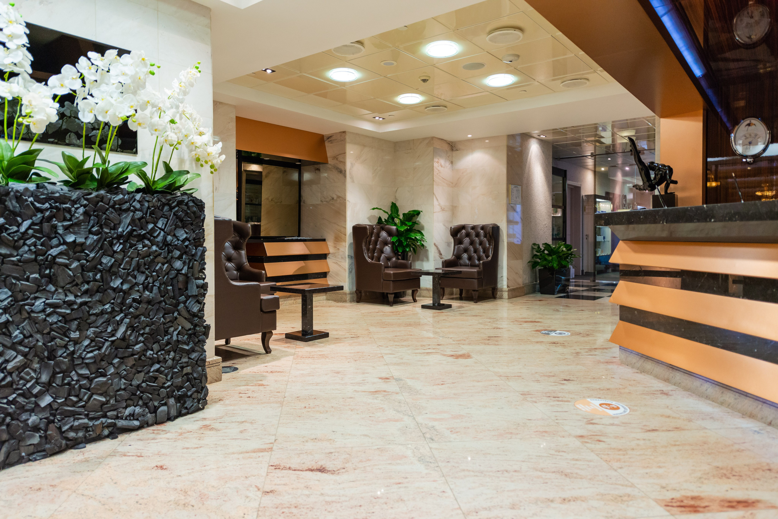 Фитнес-клуб Royal Wellness Club. ФОТОГРАФ МЕКСИКА КИНТАНА-РОО