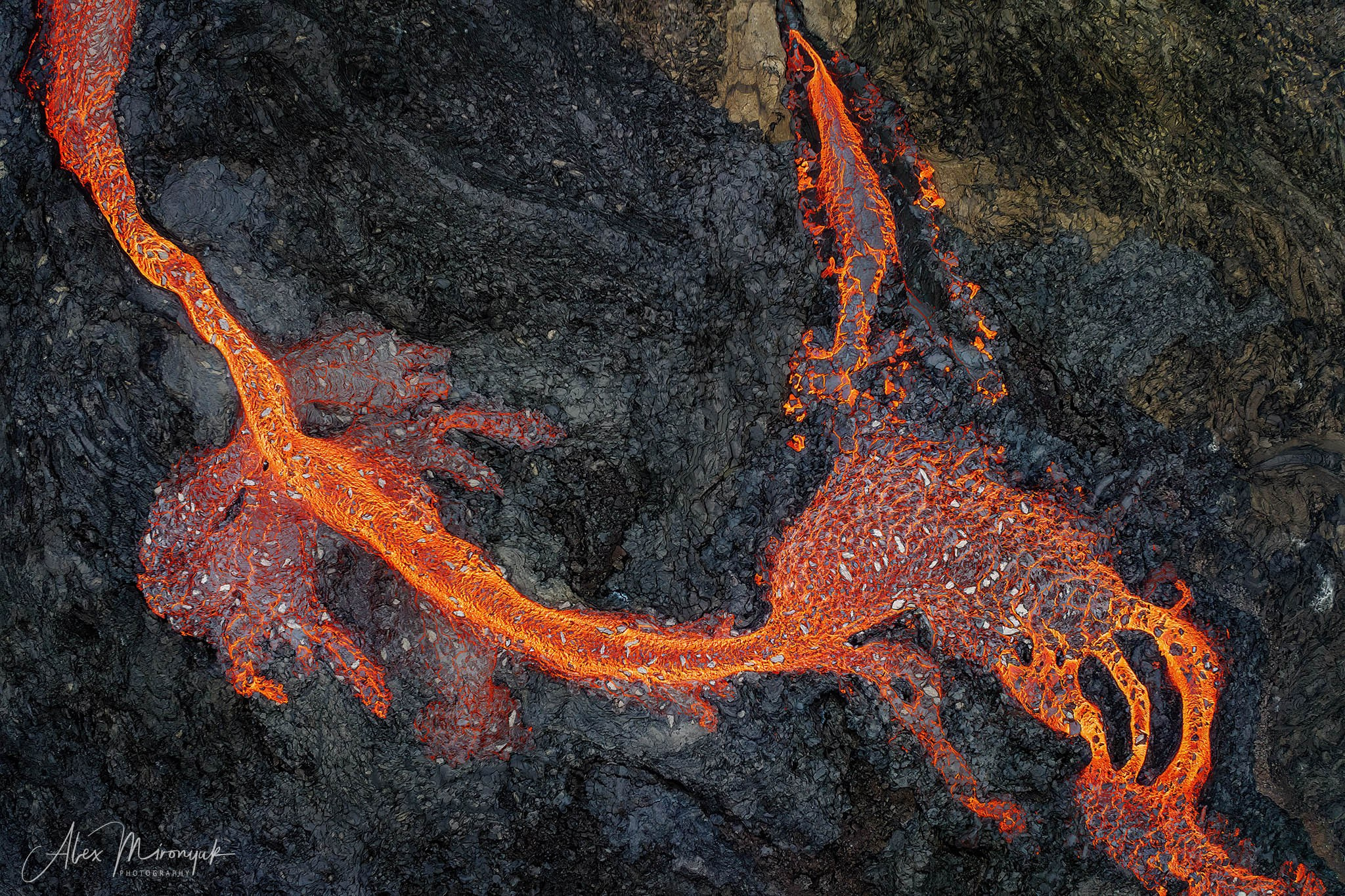 Unforgettable Iceland. Pet, Senior, Landscape, portrait studio, photographer in Miami and Sou