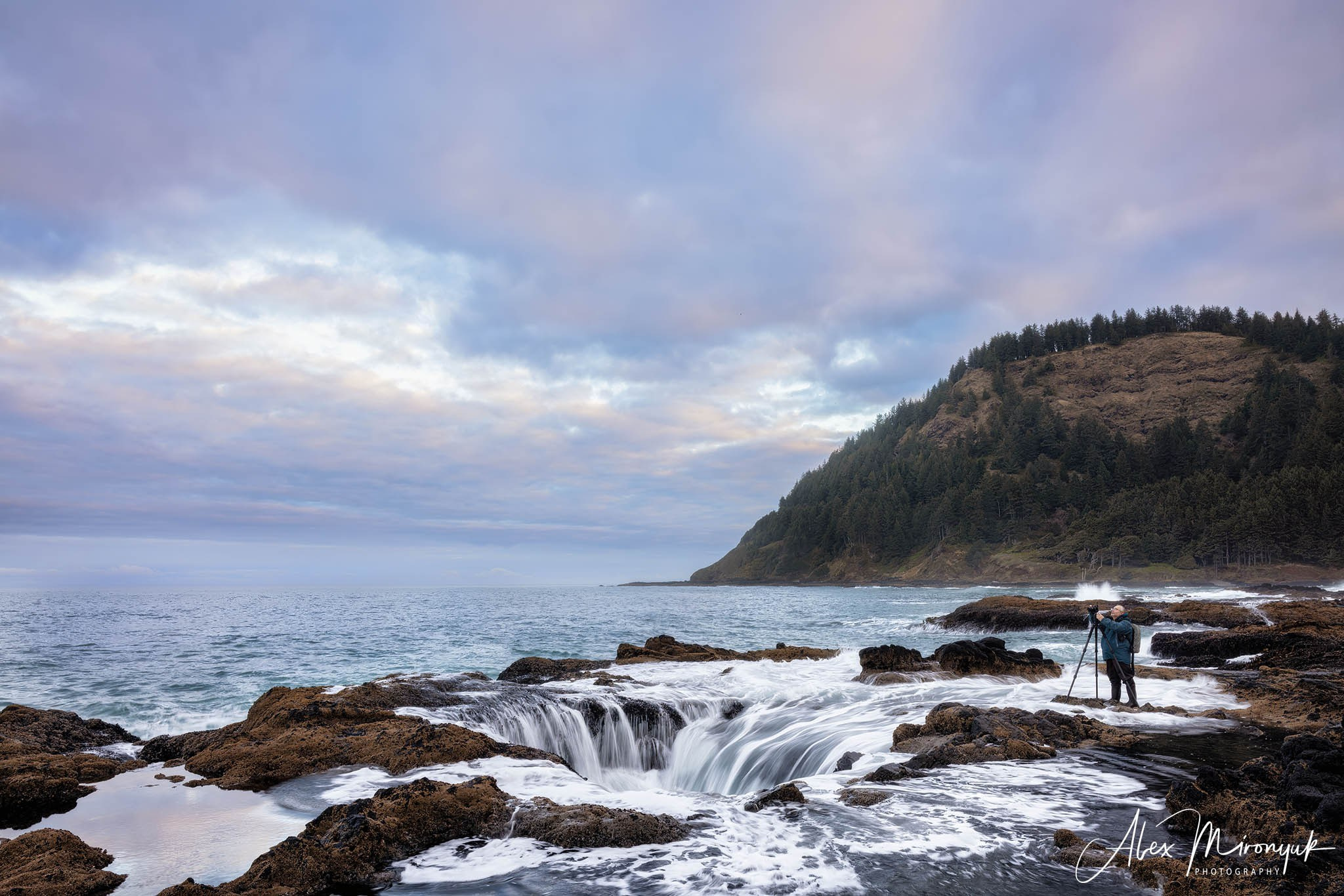 Oregon Coast Photo Workshop. Pet, Senior, Landscape, portrait studio, photographer in Miami and Sou