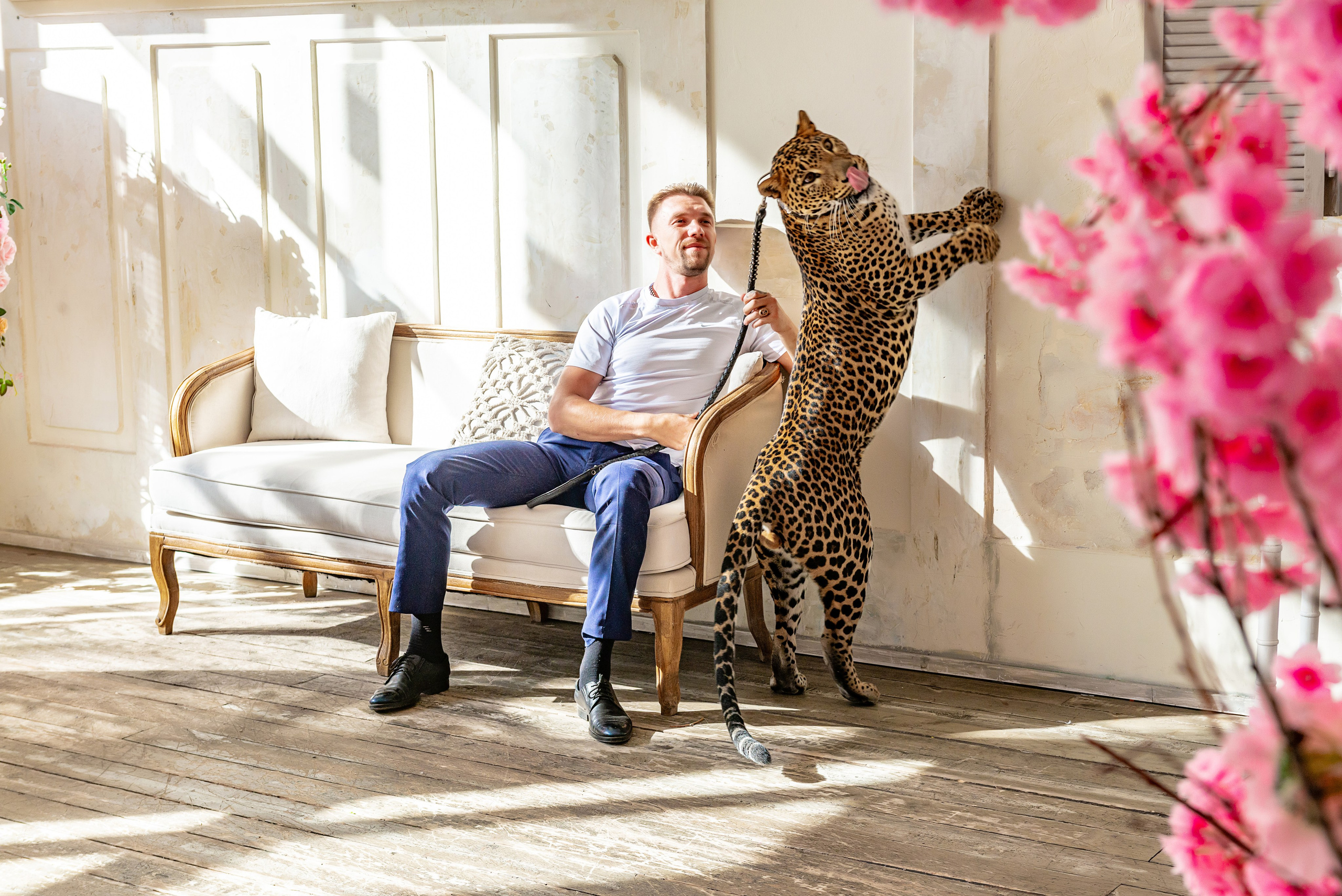 Photosession in the studio with a leopard. FOTÓGRAFO MÉXICO QUINTANA ROO