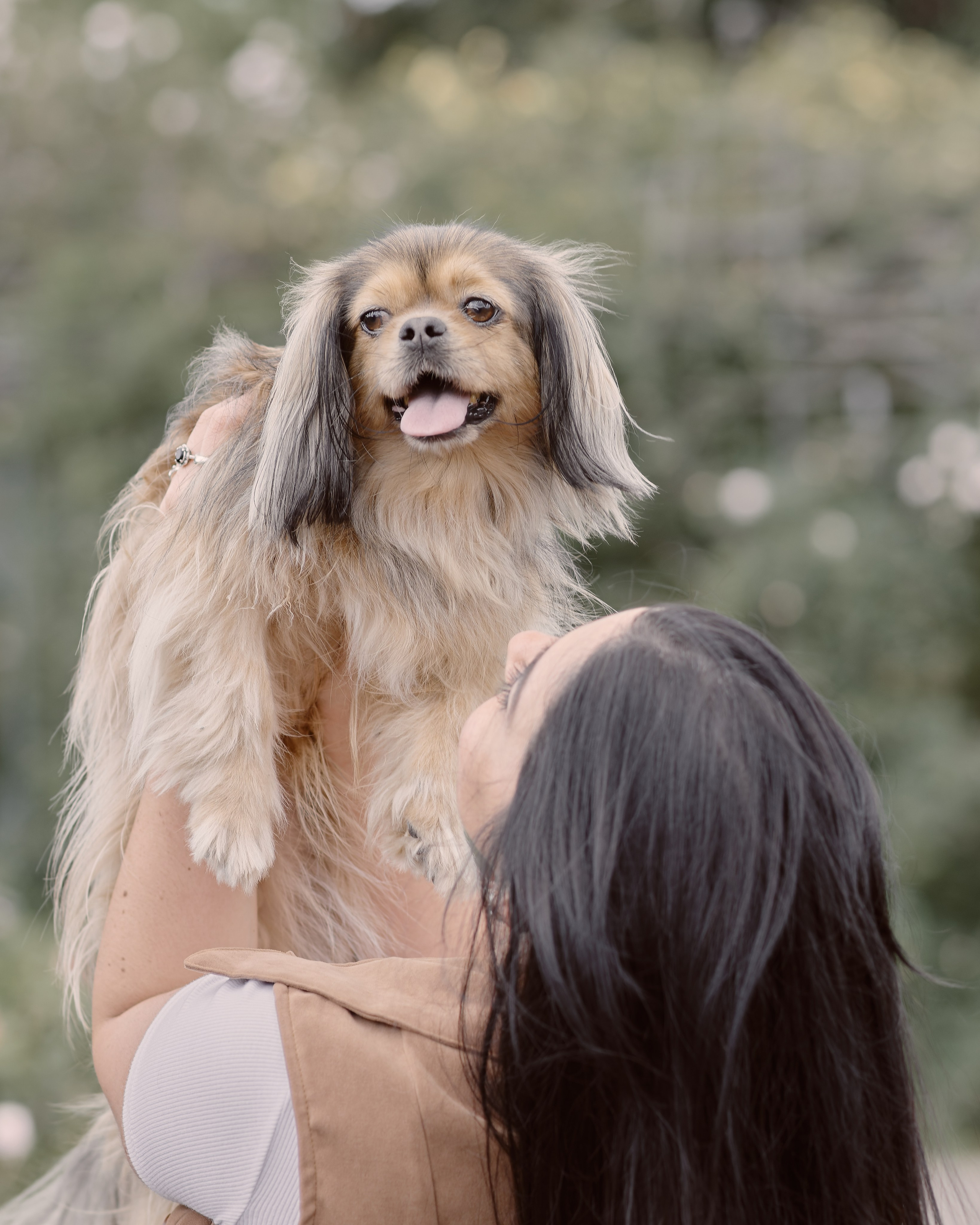 Valssy – Fotografía de mascotas en Uruguay. Retratos profesionales de perros y gatos