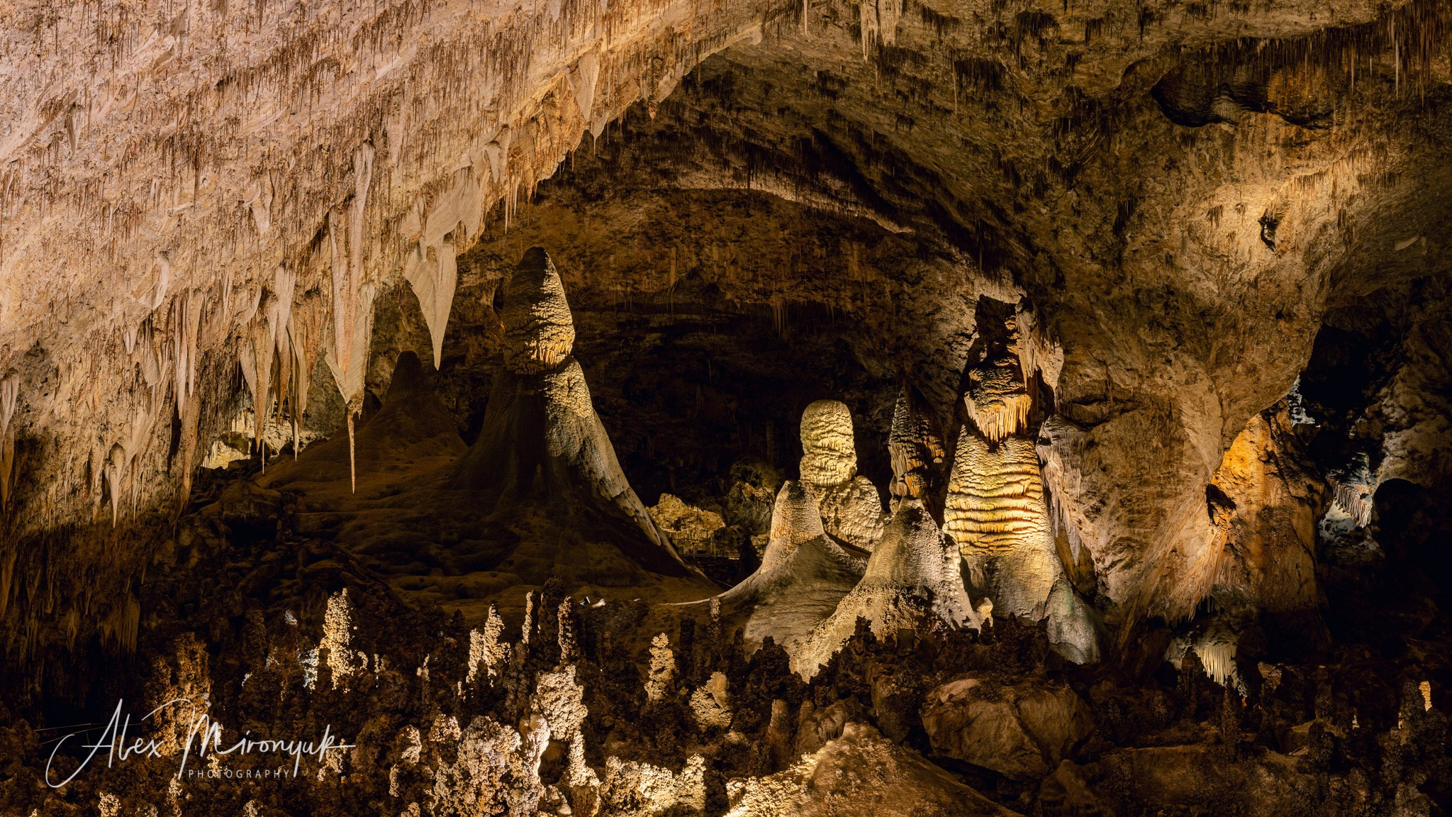 The Best of New Mexico. Pet, Senior, Landscape, portrait studio, photographer in Miami and Sou