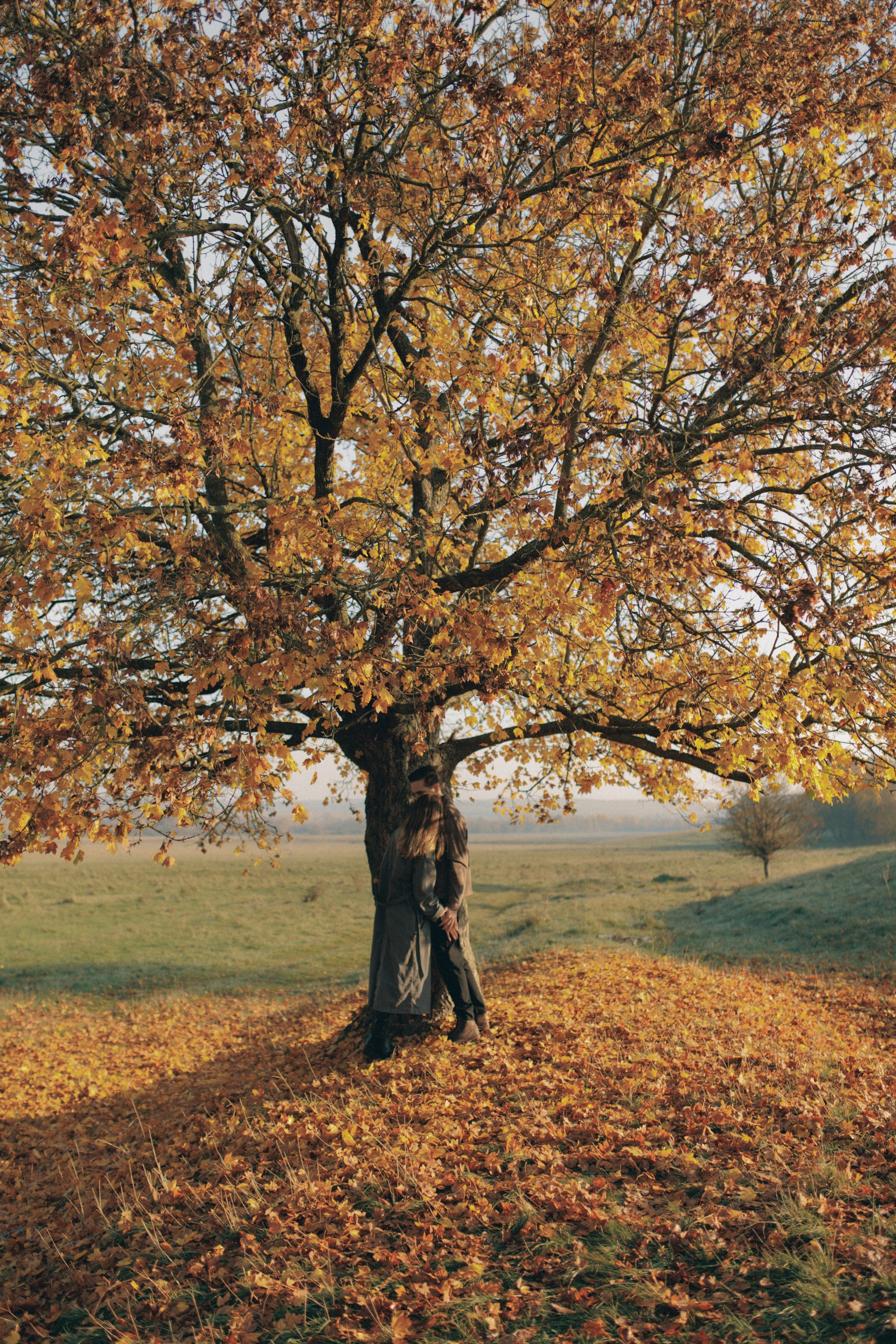 An autumn lovestory. Wedding photographer and videographer based in Timisoara, Romania