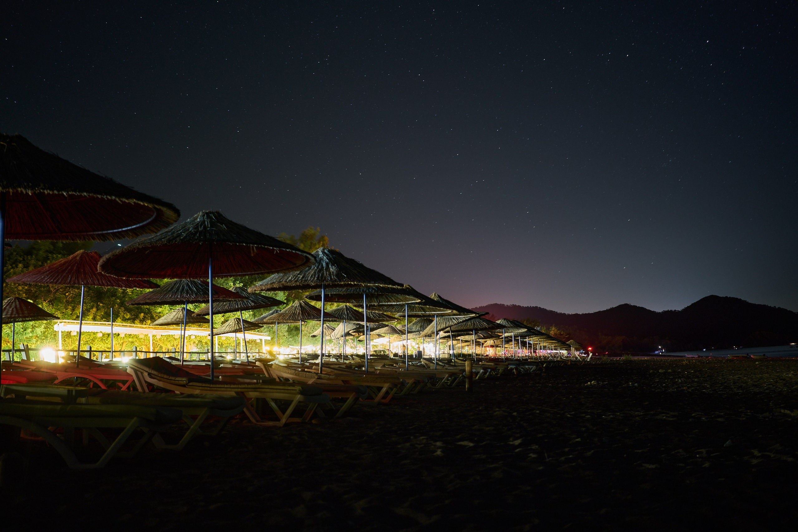 Caretta caretta | Anastasiia Nelen photographer