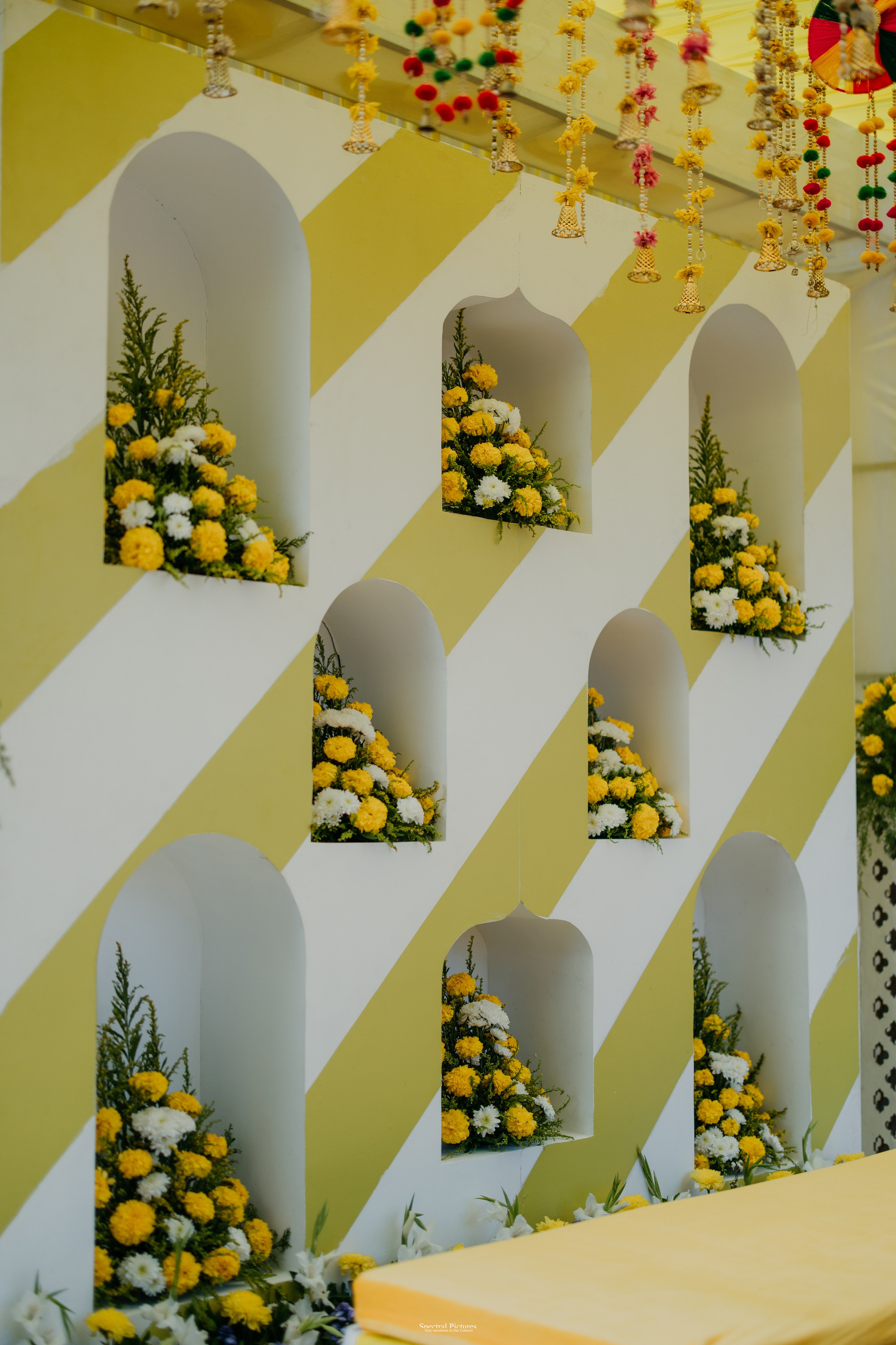 #THEPURALOVESTORY is a journey of two hearts growing in sync, across seasons, challenges, and memories