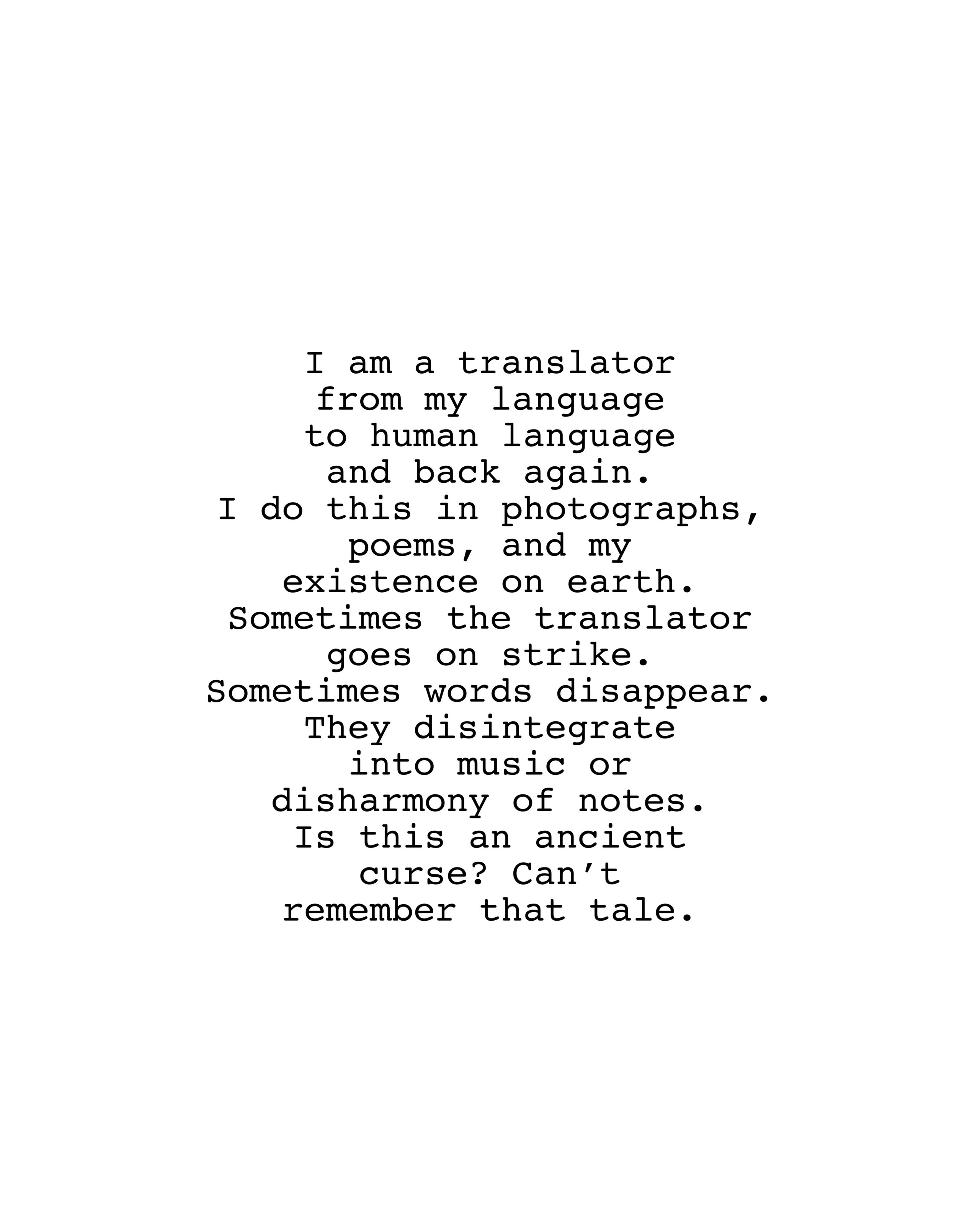 Aut Splash. Виктория Дини. Арт-фотография