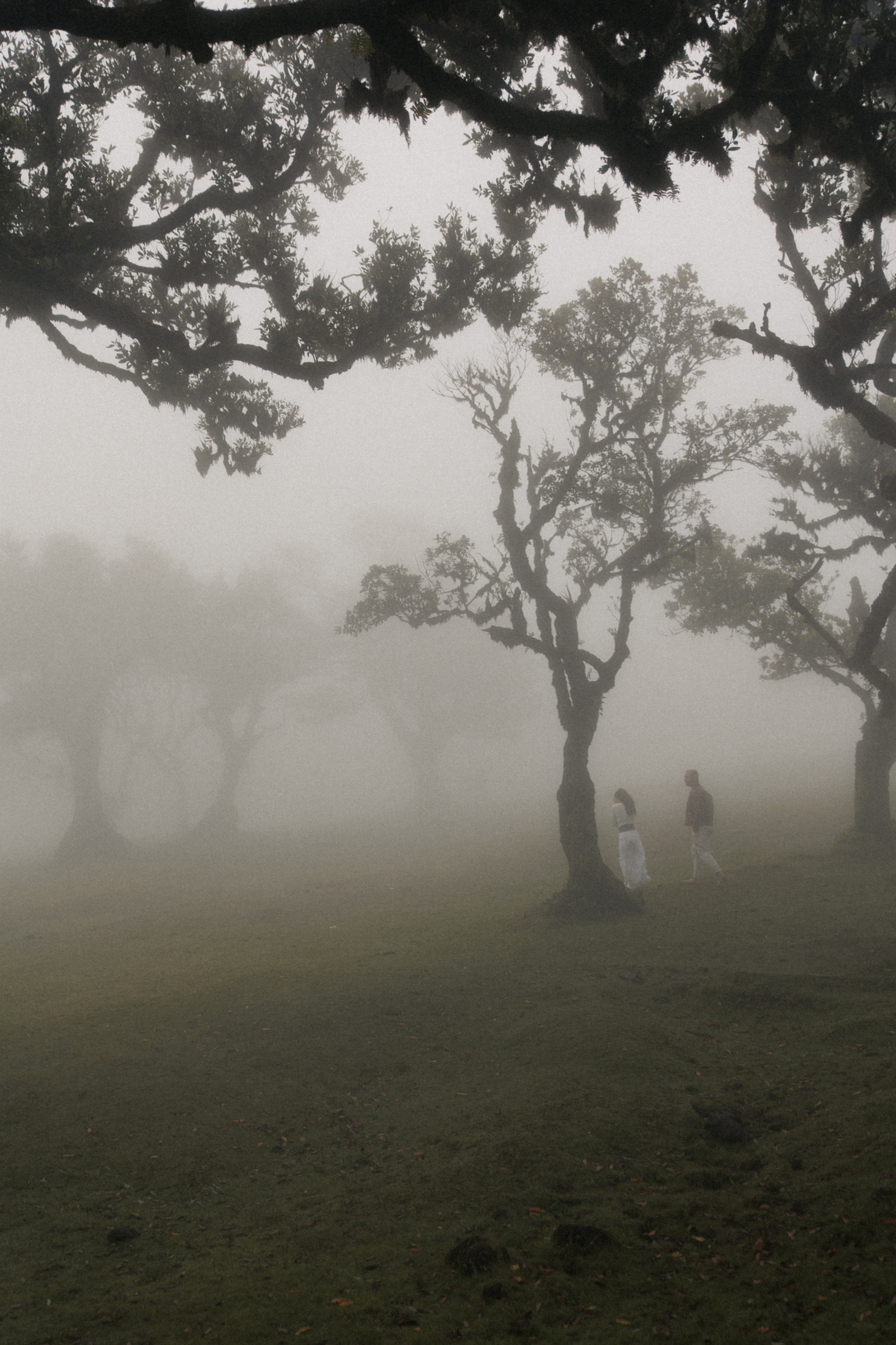 Dream Proposal at Seixal Beach — Romantic Getaway in Madeira. Wedding photographer and videographer based in Timisoara, Romania