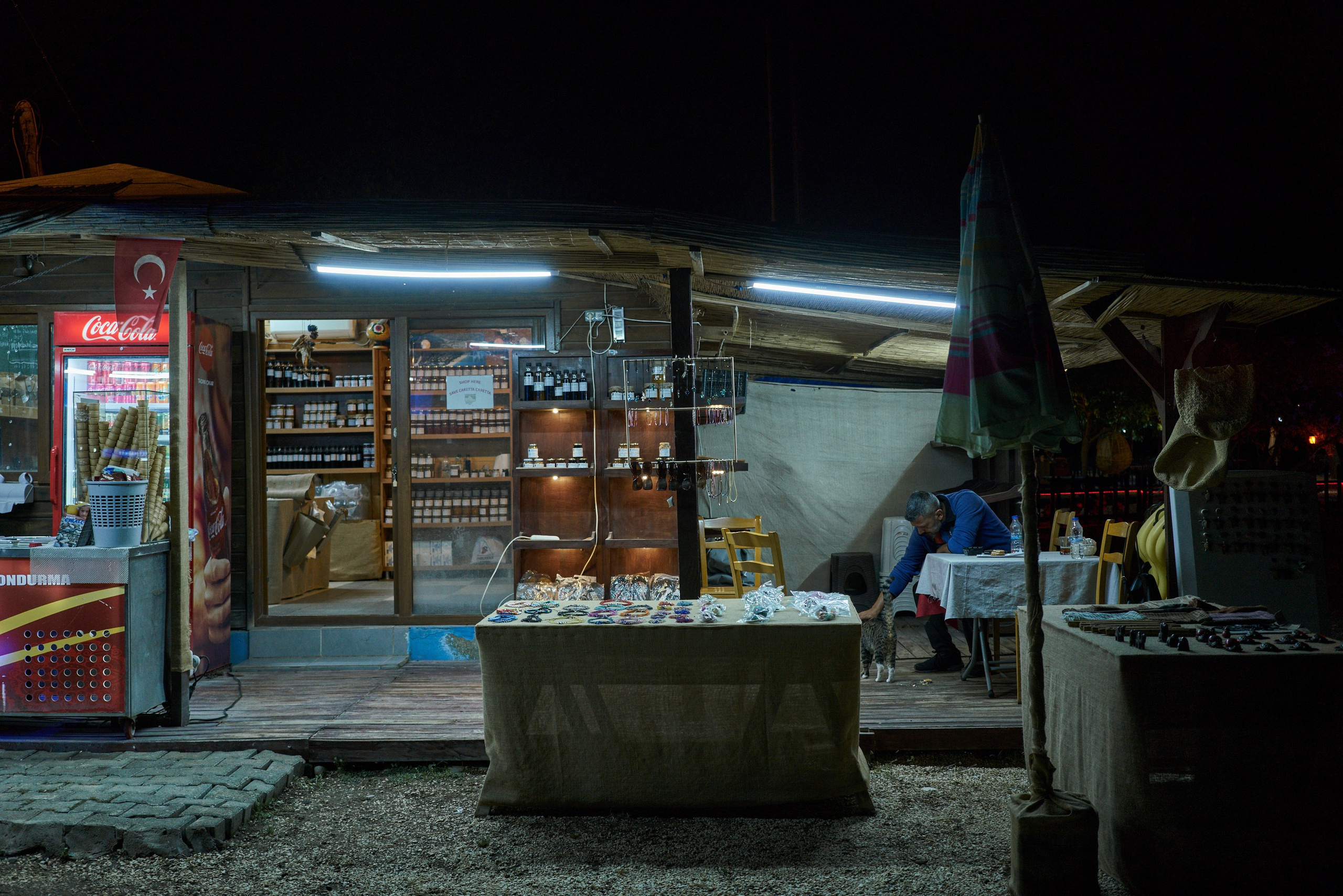 Caretta caretta | Anastasiia Nelen photographer