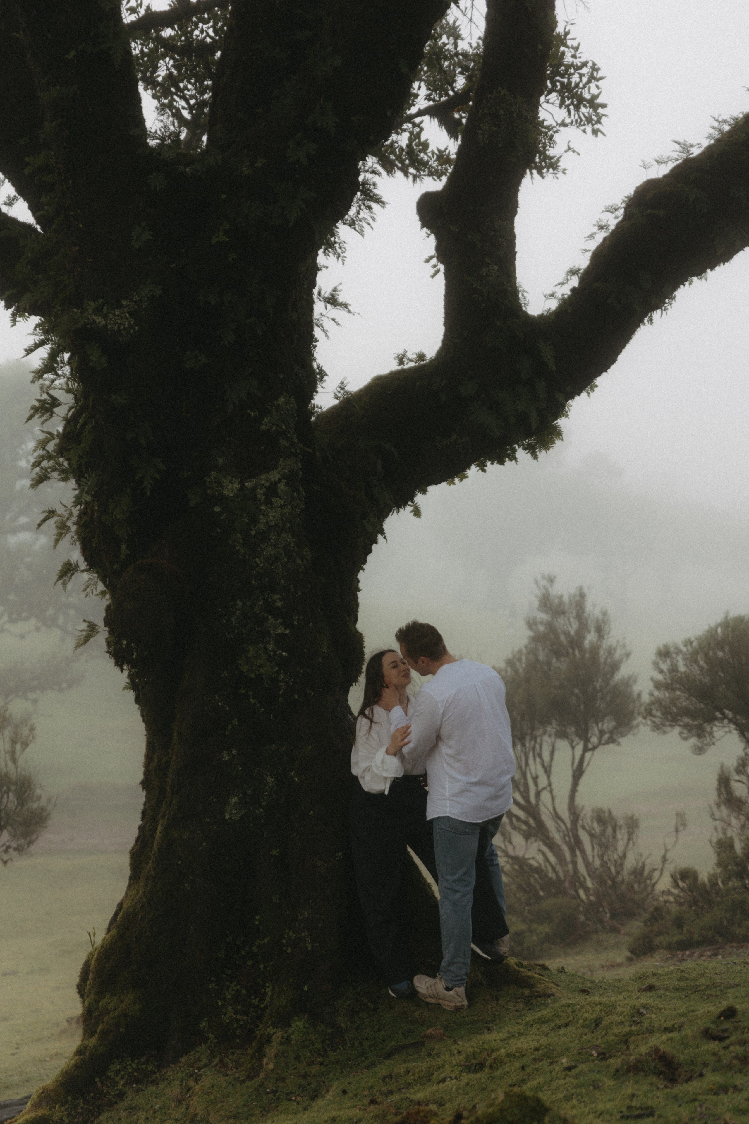Magic of Fanal Forest. Wedding photographer and videographer based in Timisoara, Romania