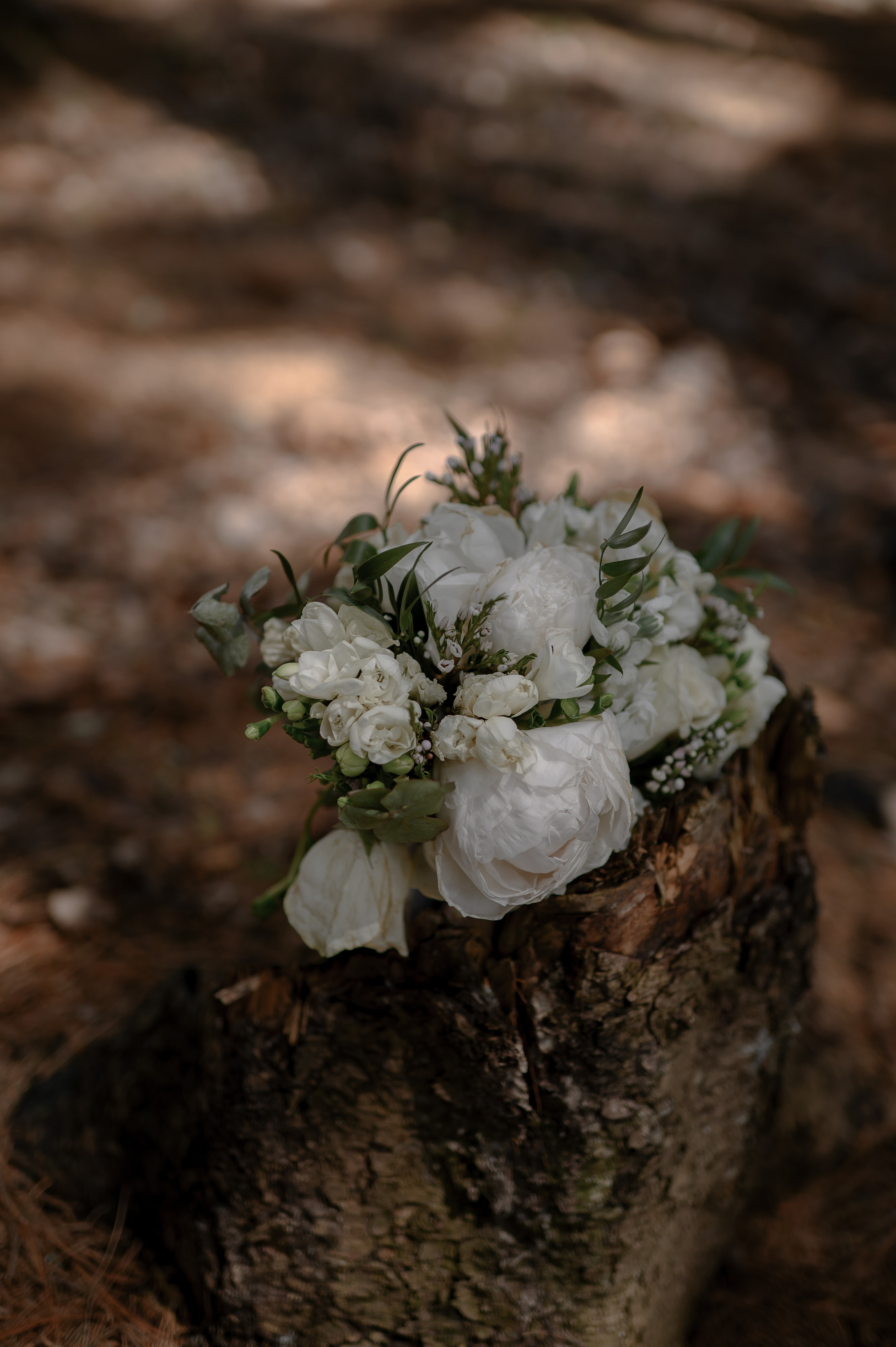 The woods & us. Wedding photographer and videographer based in Timisoara, Romania