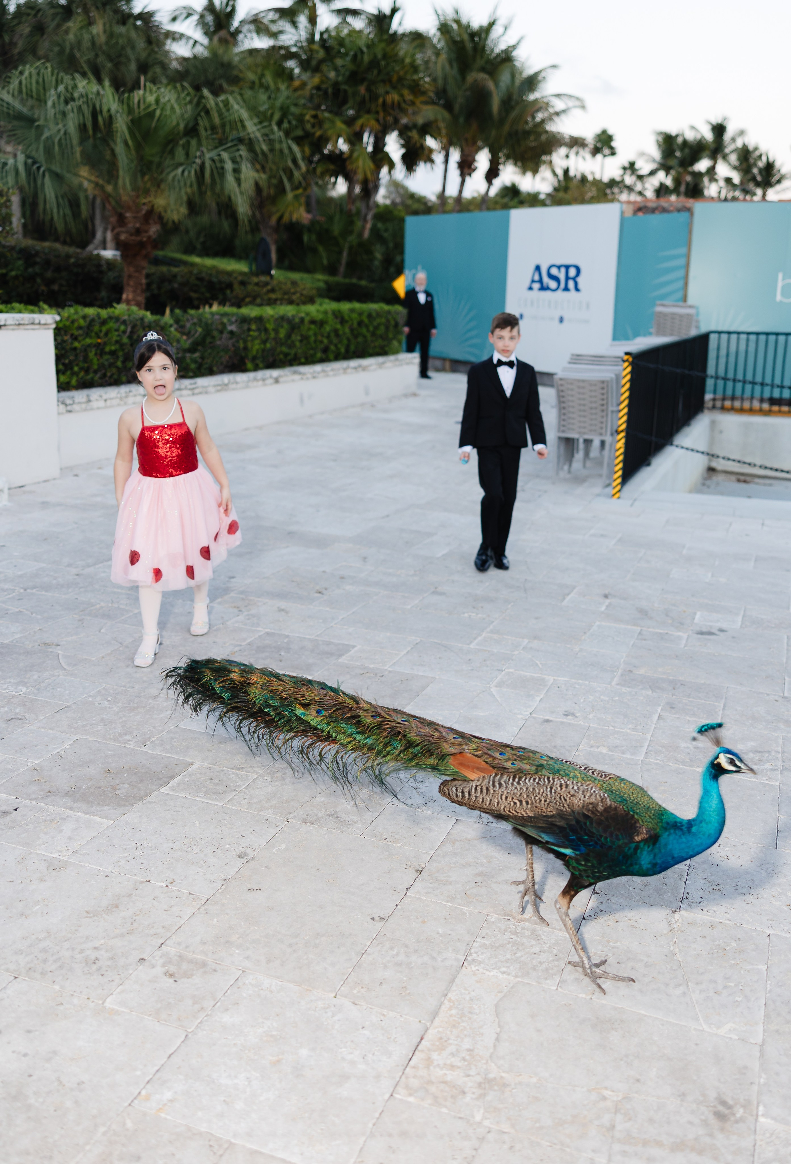 AMANDA & DAVID. YES I DO PRODUCTION — Wedding photography&videography