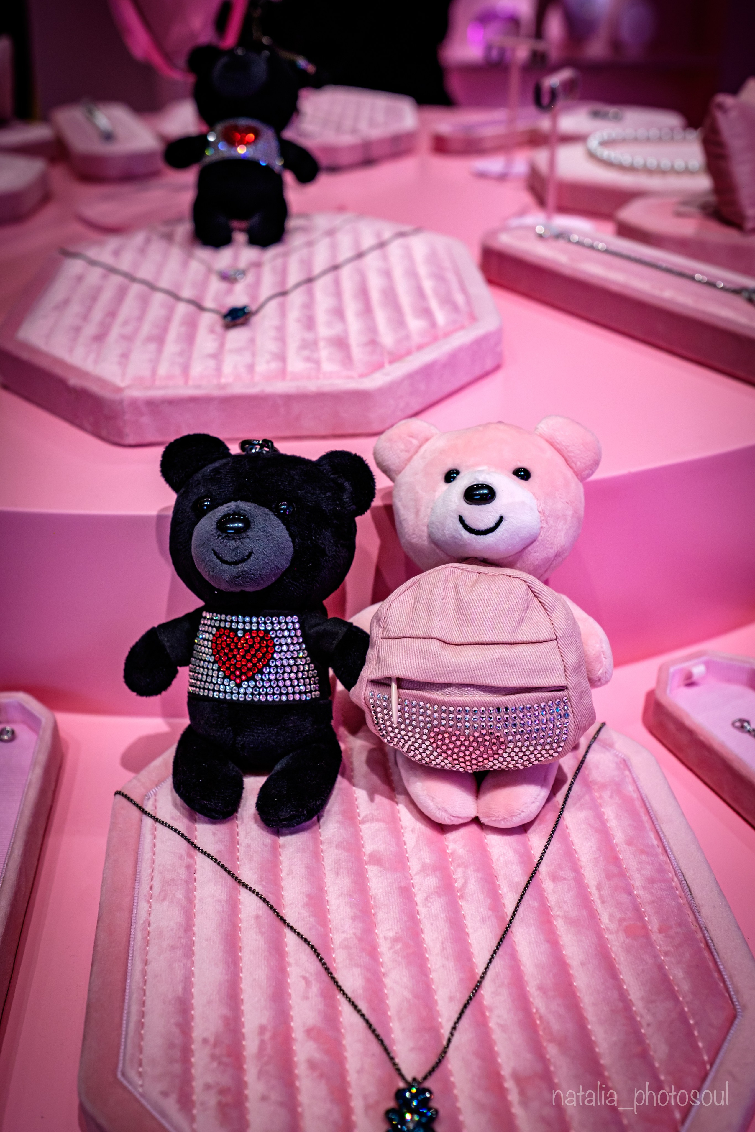 SWAROVSKI MASTERS OF LIGHT FROM VIENNA TO SEOUL. Photographer in Seoul Dobrokvashina Natalya