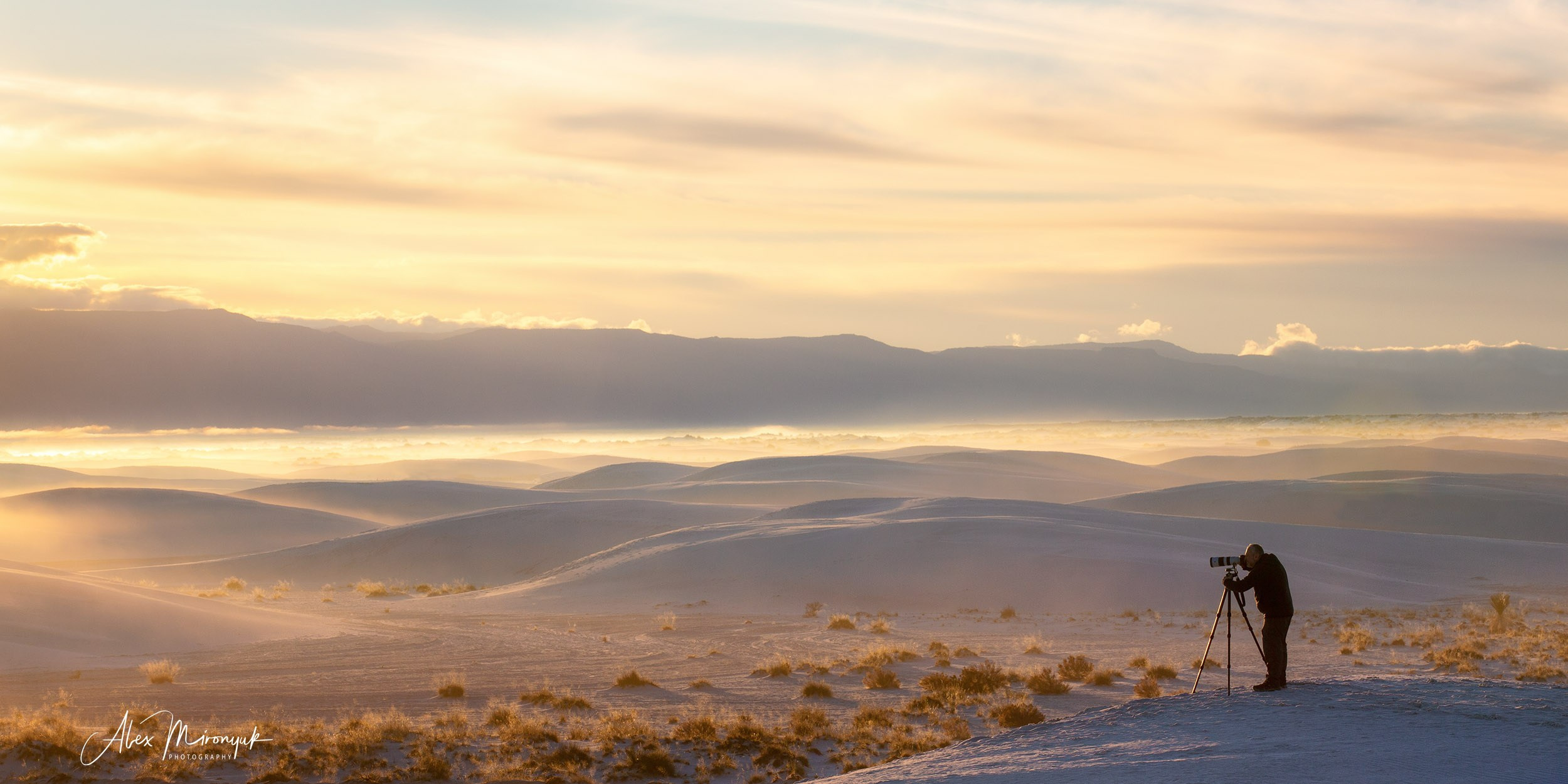 The Best of New Mexico. Pet, Senior, Landscape, portrait studio, photographer in Miami and Sou