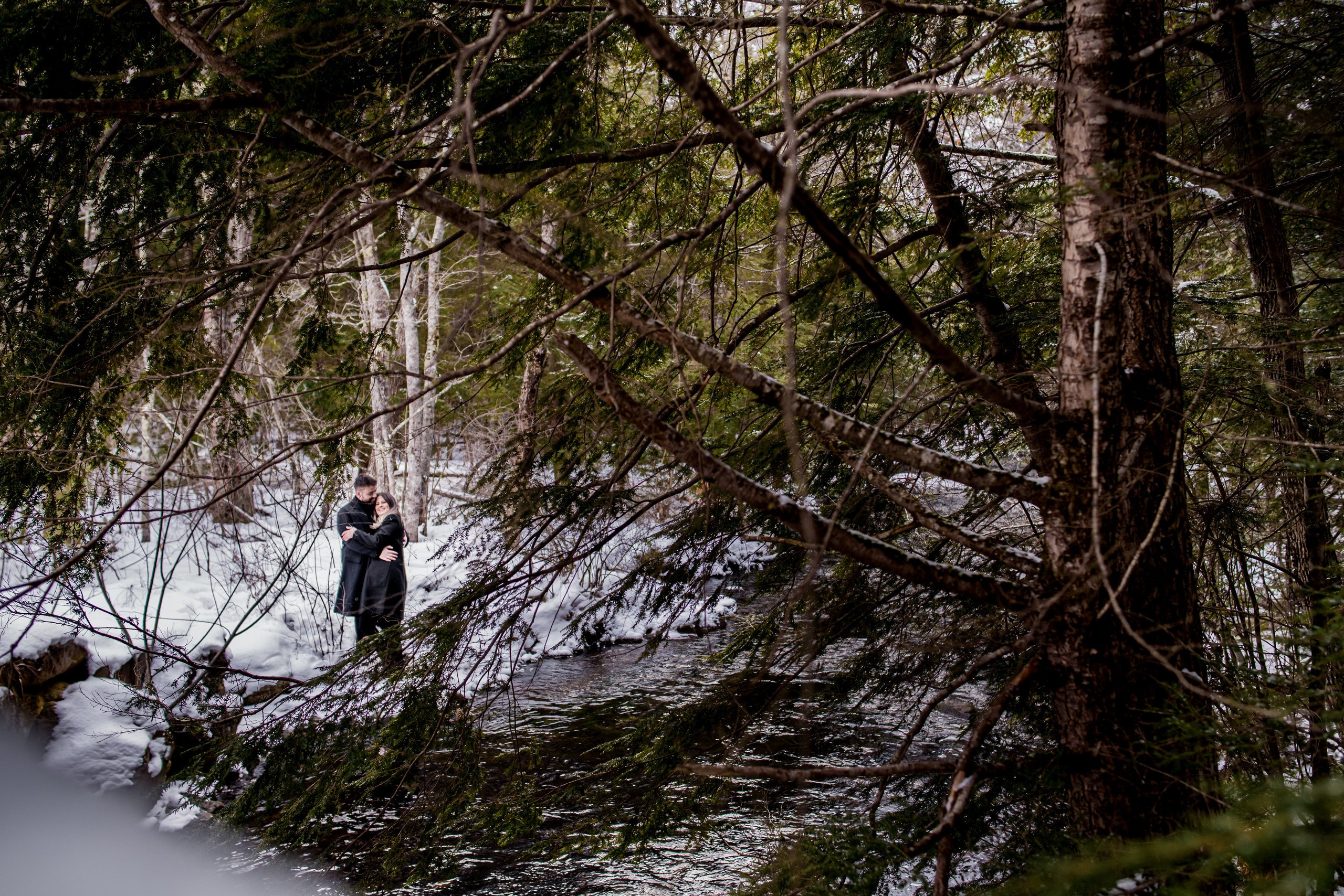 A Love Story in the Snow: Photo Shoot and Surprise Proposal. Wedding photographer in Orlando, Boston & New York Anderson Marques