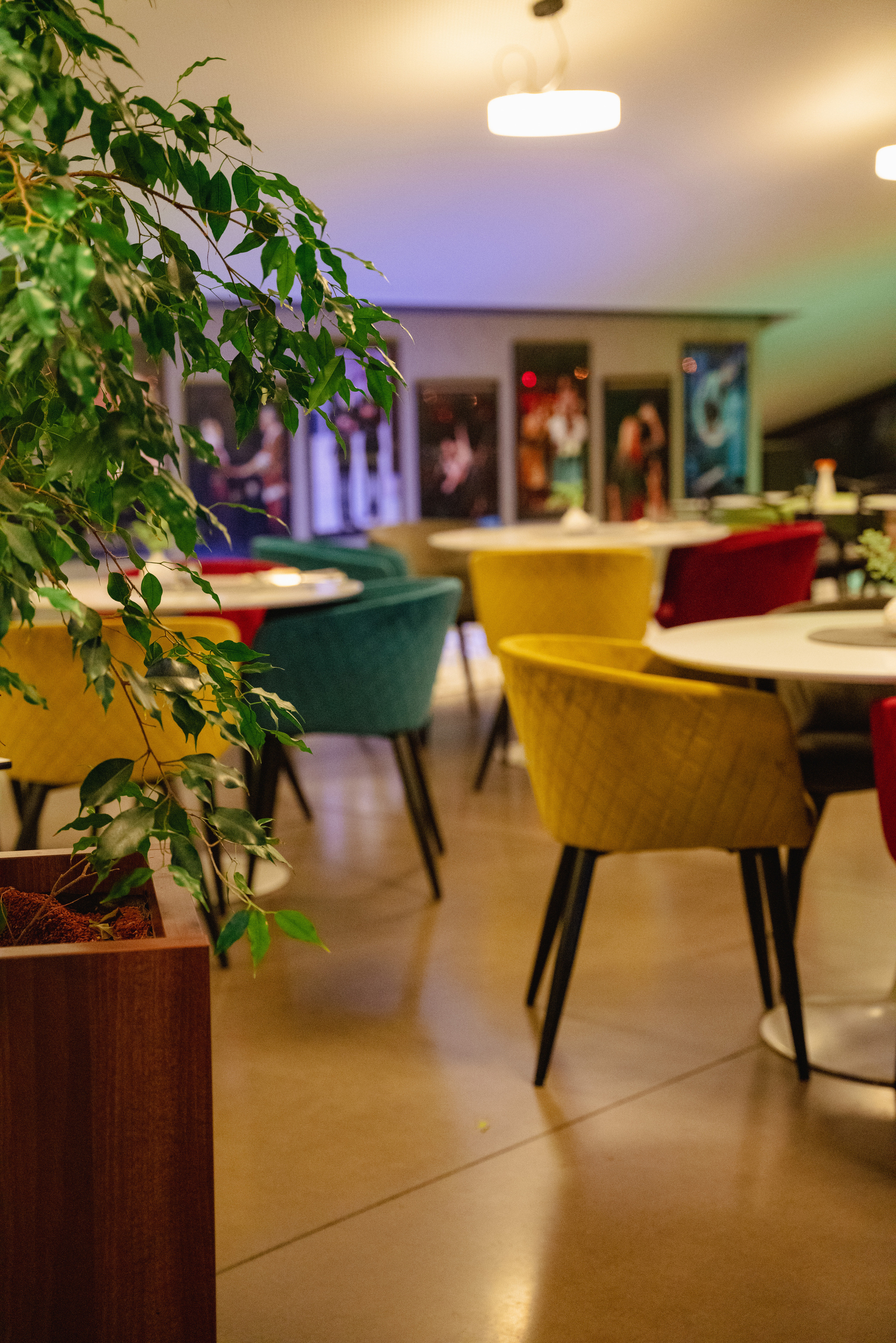 MK ARTMOMENT. Rodinna fotografka Plzen Anita Dergachova