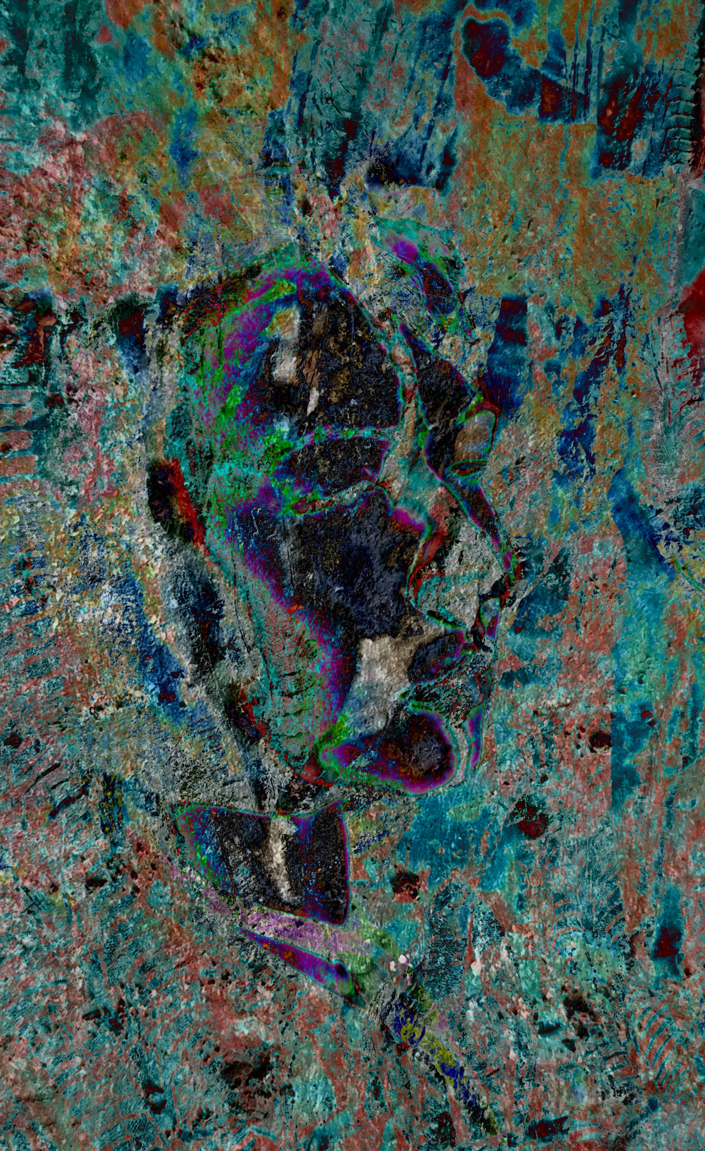 Проекти. Фотограф Оксана Ляшенко Дніпро Україна Oksain