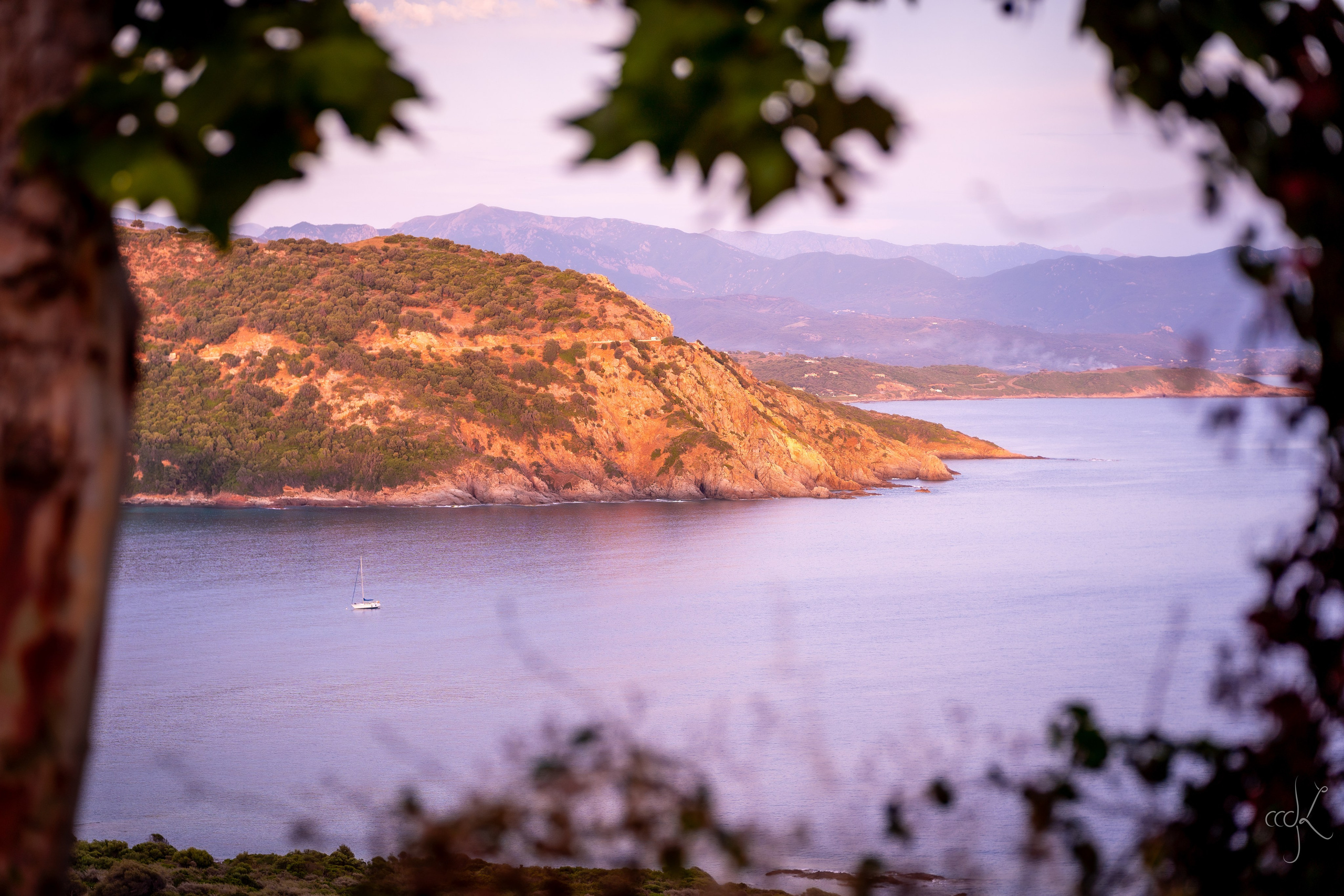 FLOWTIME: the 6th Cargèse summer school. Expect Miracles Photography by Kate & Andrew