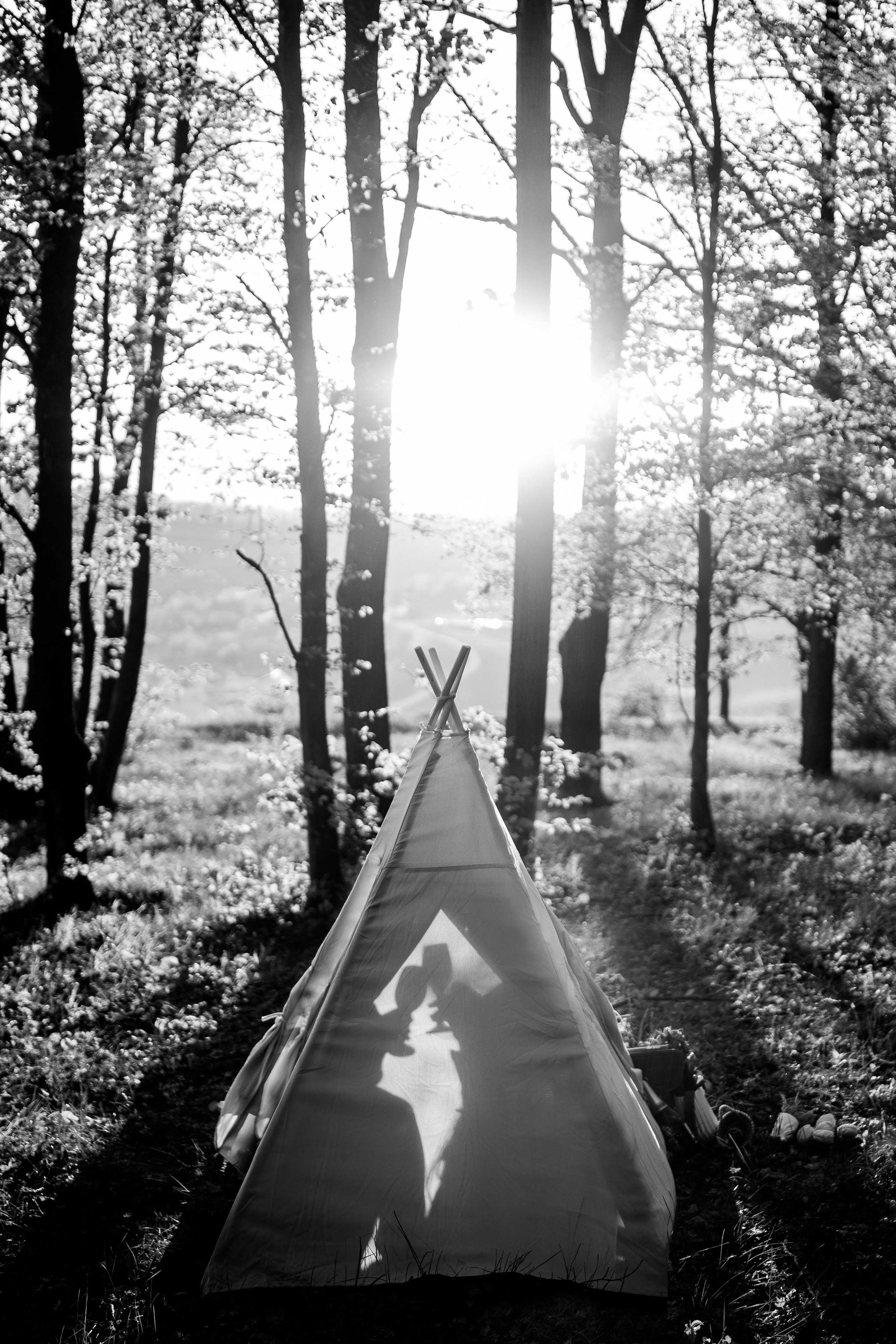 Premii. Mihai Padurariu - fotograf