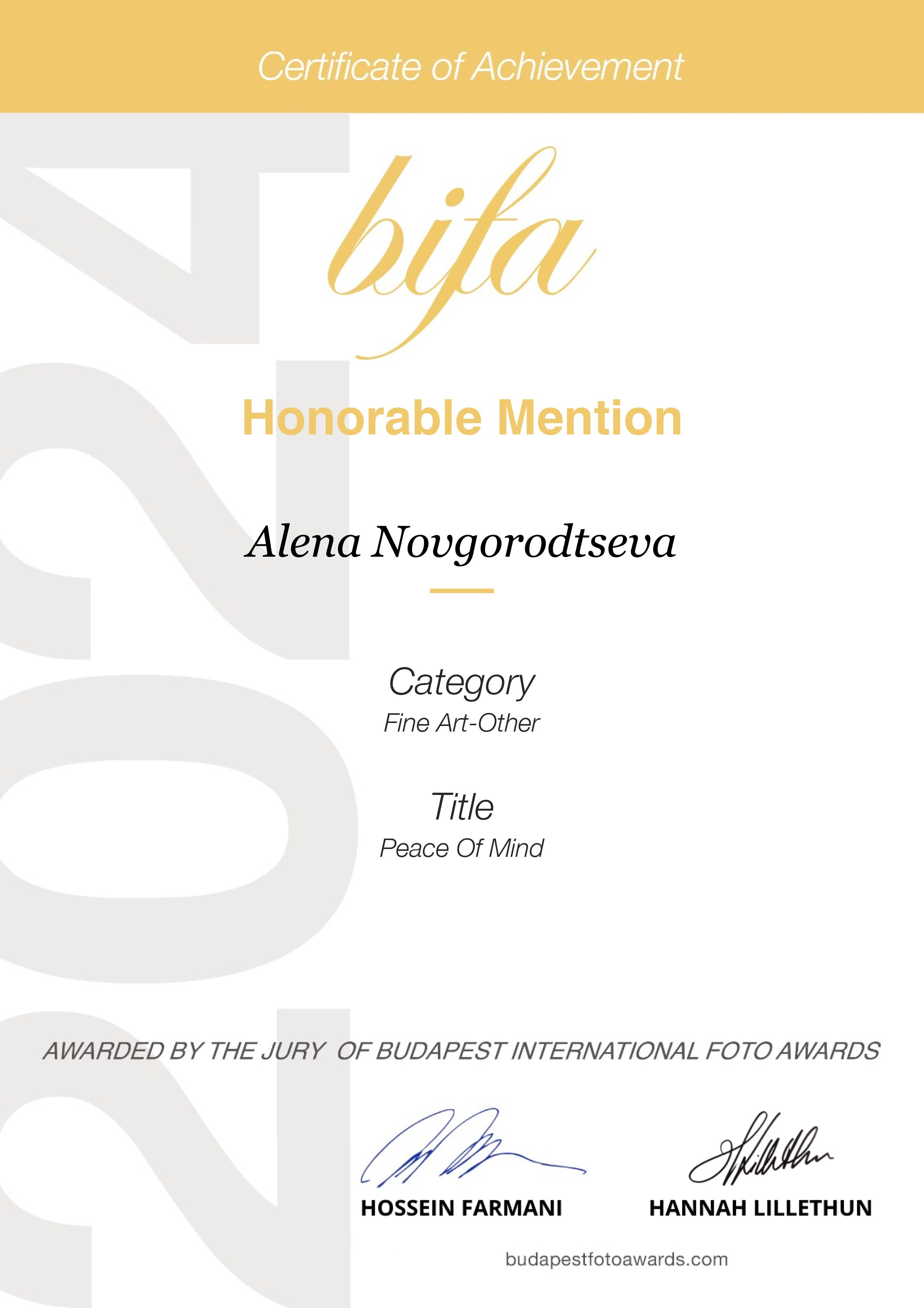 Biography of the photographer Alena Novgorodtseva. Portrait photographer Alena Novgorodtseva