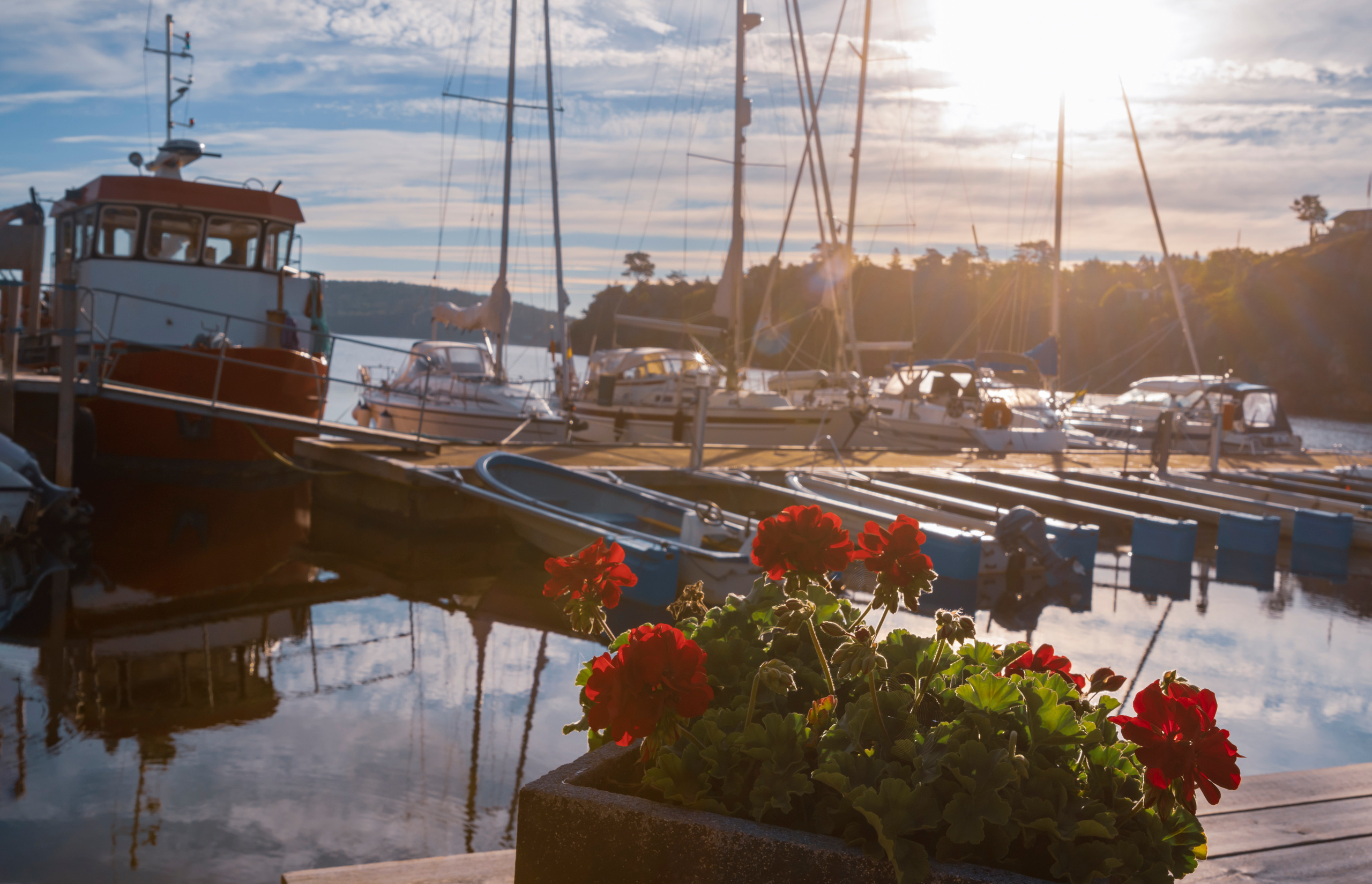 Price & Services. Studio och familj fotograf i i Västra Götaland Elena Astrid Johansson