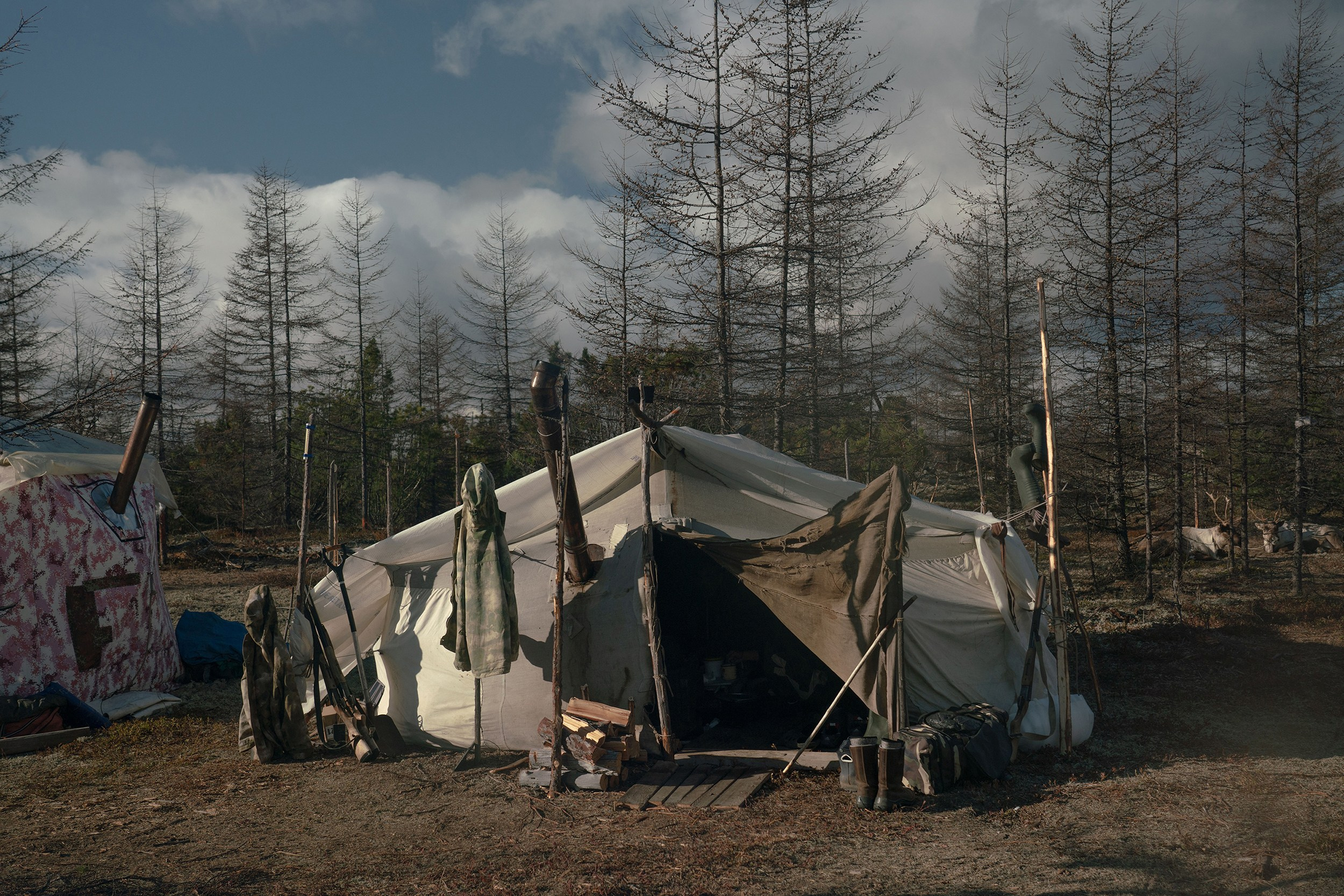 Disappearing people. Marina Sycheva