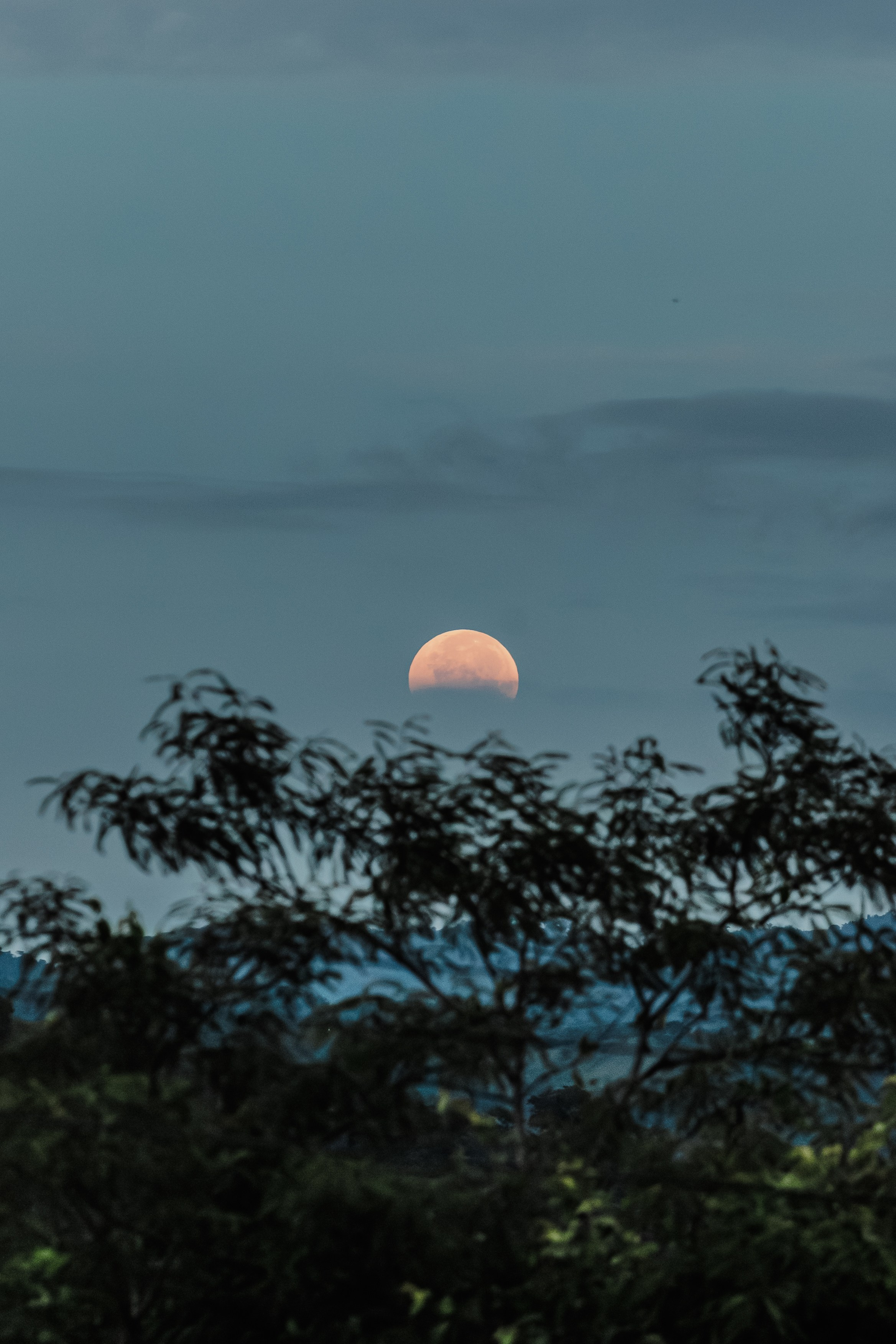 Edrd — Eduardo Med | Fotografia