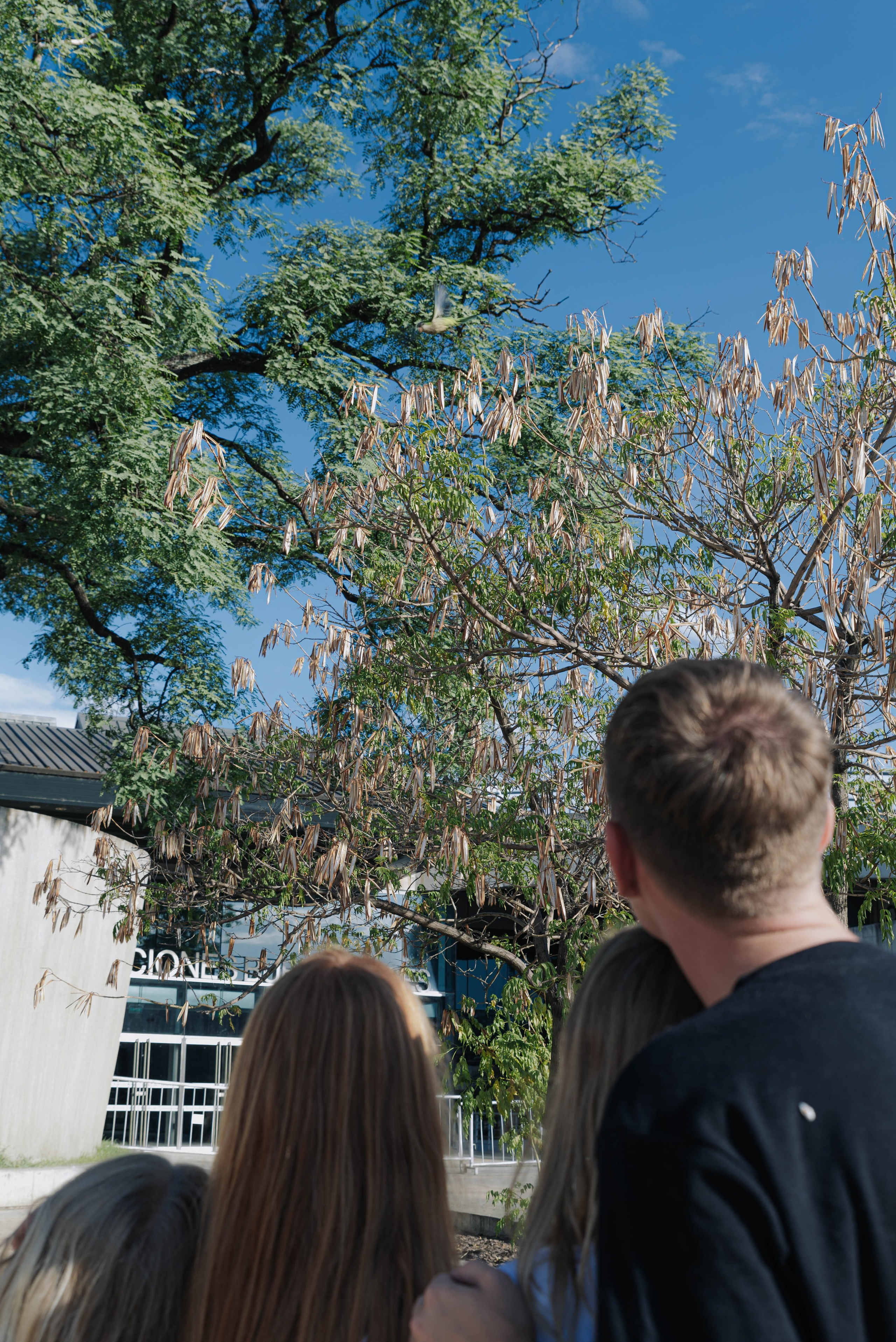 Гости из Мар-Дель-Платы. Фотограф @elmirkami в городе Буэнос-Айрес