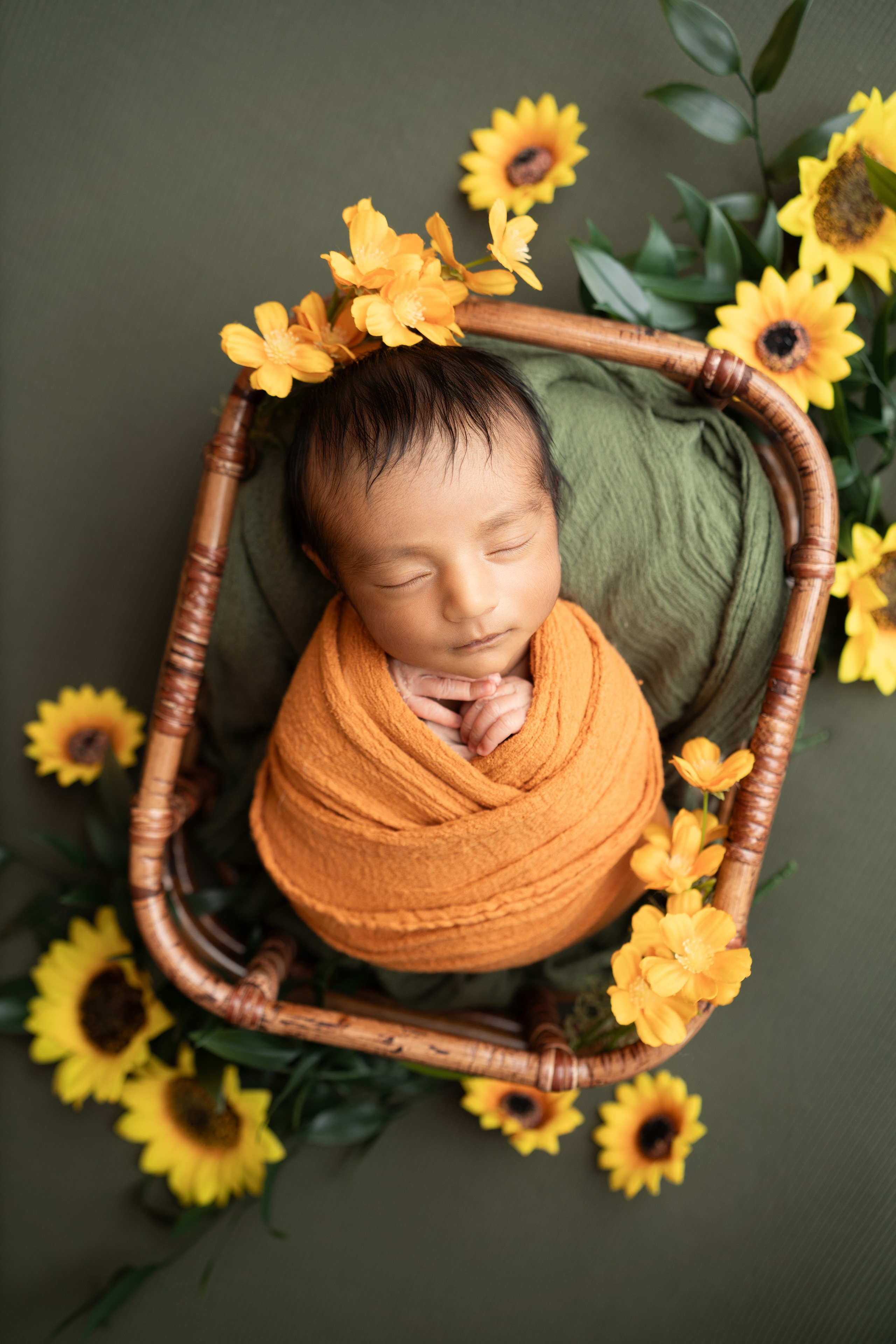Posed Newborn. Maternity, family and newborn photography in San Francisco Bay Area