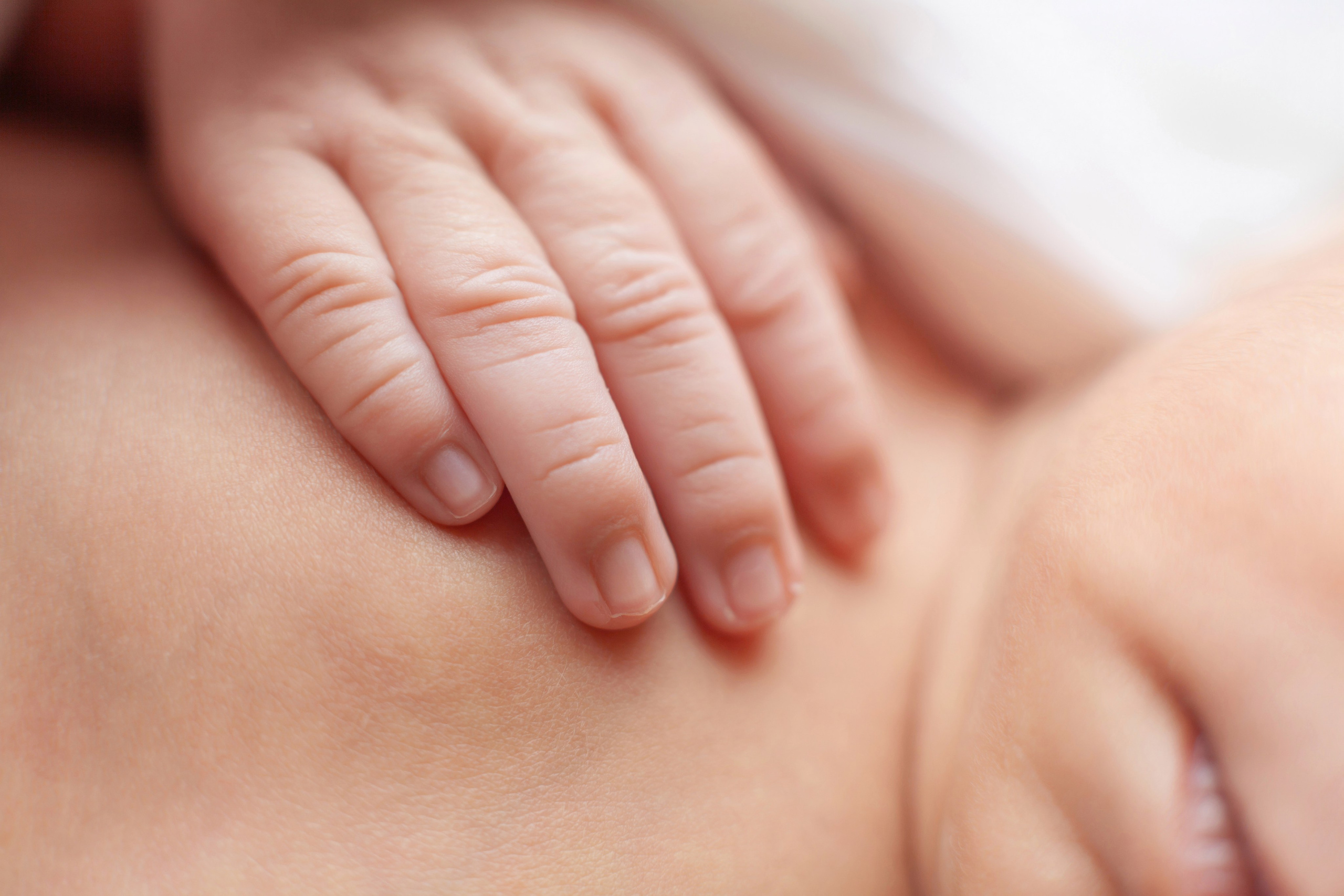 Services. Marina Pravda Photography San Francisco Bay Area