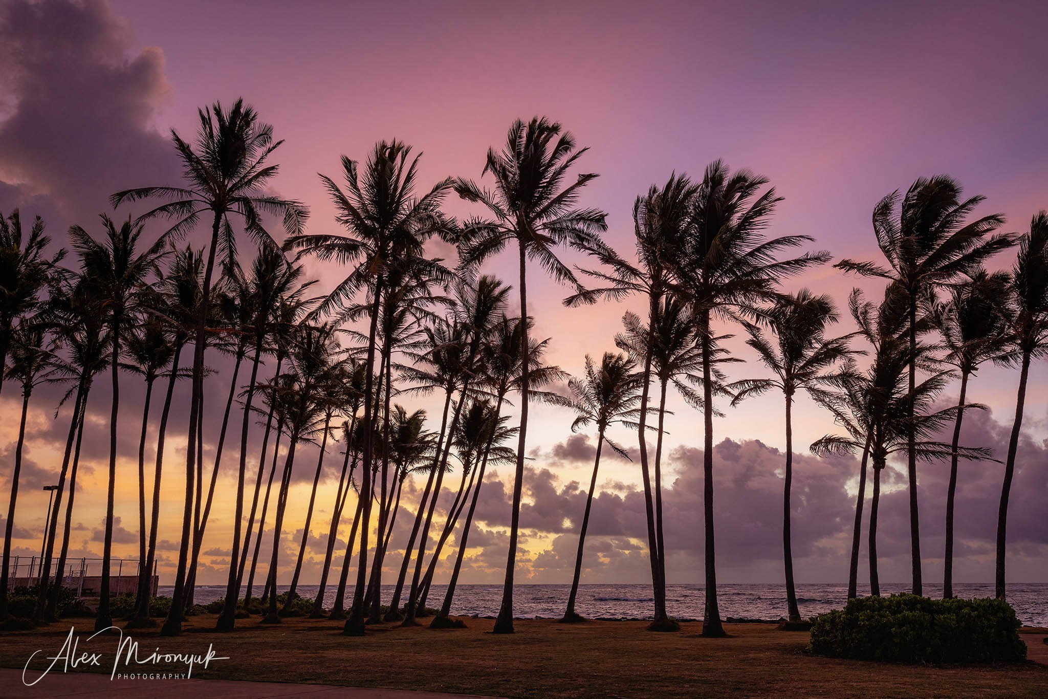 Kauai Photo Workshop