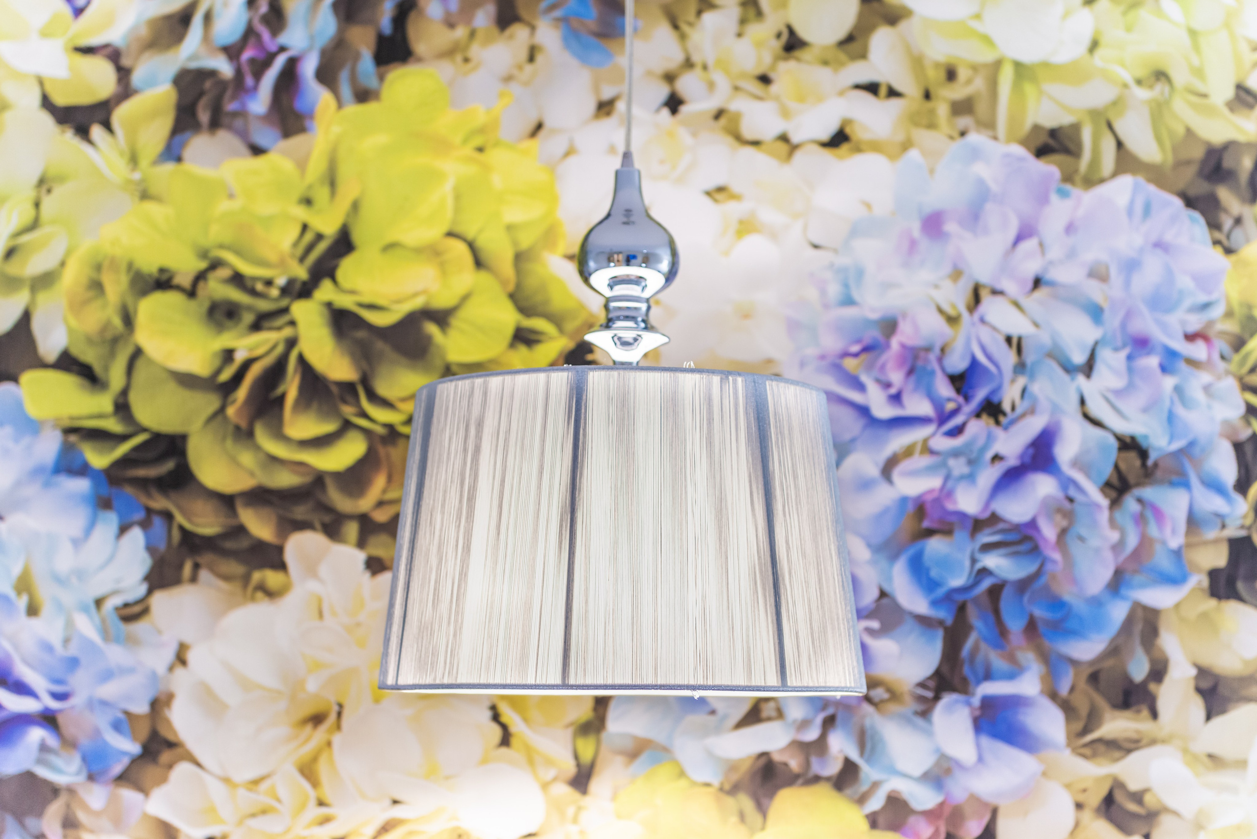 Салон красоты Империя цвета. ФОТОГРАФ МЕКСИКА КИНТАНА-РОО