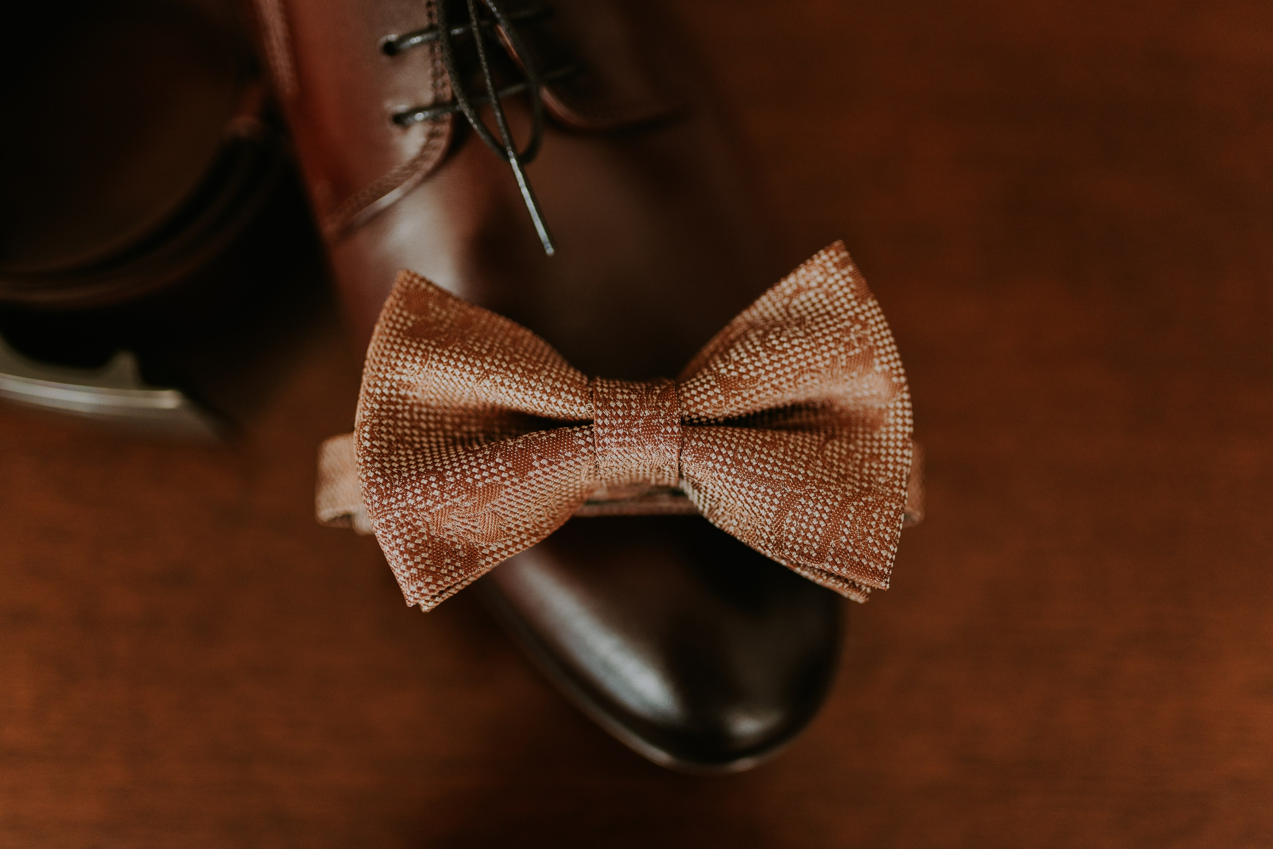 Dwór Wierzbno: plenerowy ślub pod wierzbą. Karkowskafoto - fotografia miłości