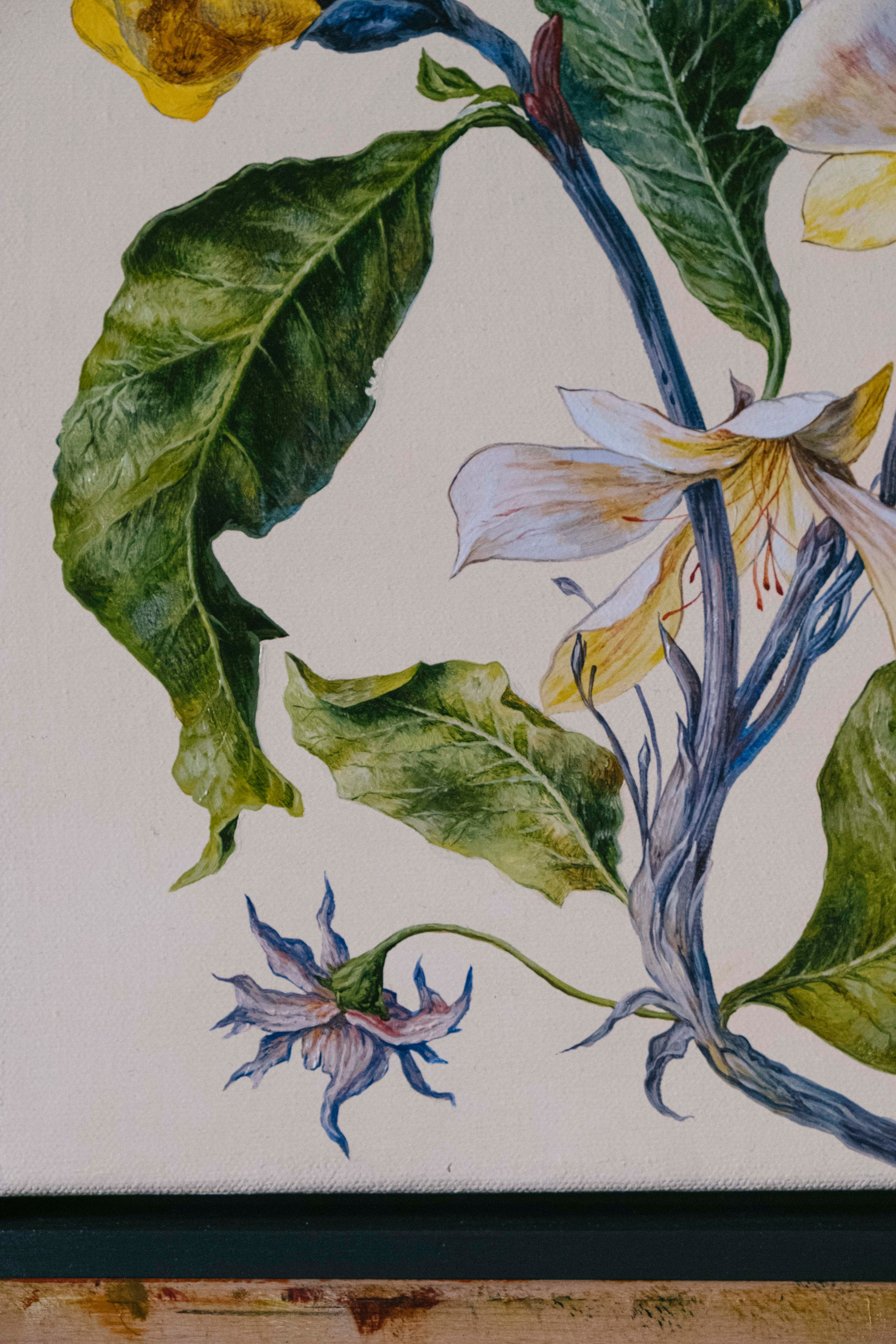 Botanical Etude No. 3. ELEN BEZHEN